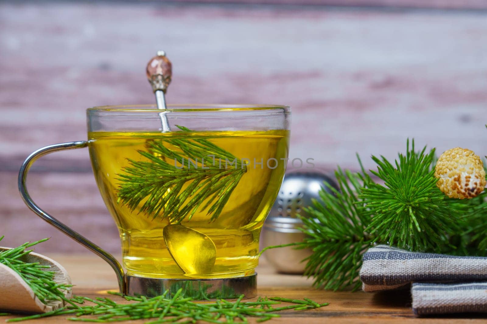 infusion of horsetail Equisetum arvense, medicinal plant for health care with fresh branches just picked from the field.