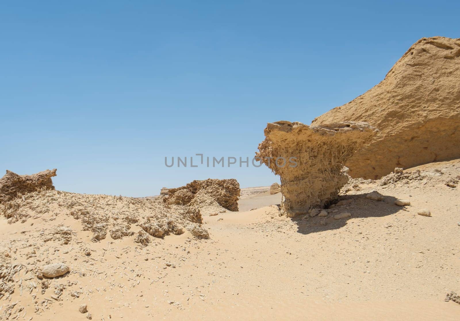 Landscape scenic view of desolate barren western desert in Egypt with geological sandstone rock formations and fossilised mangrove trees