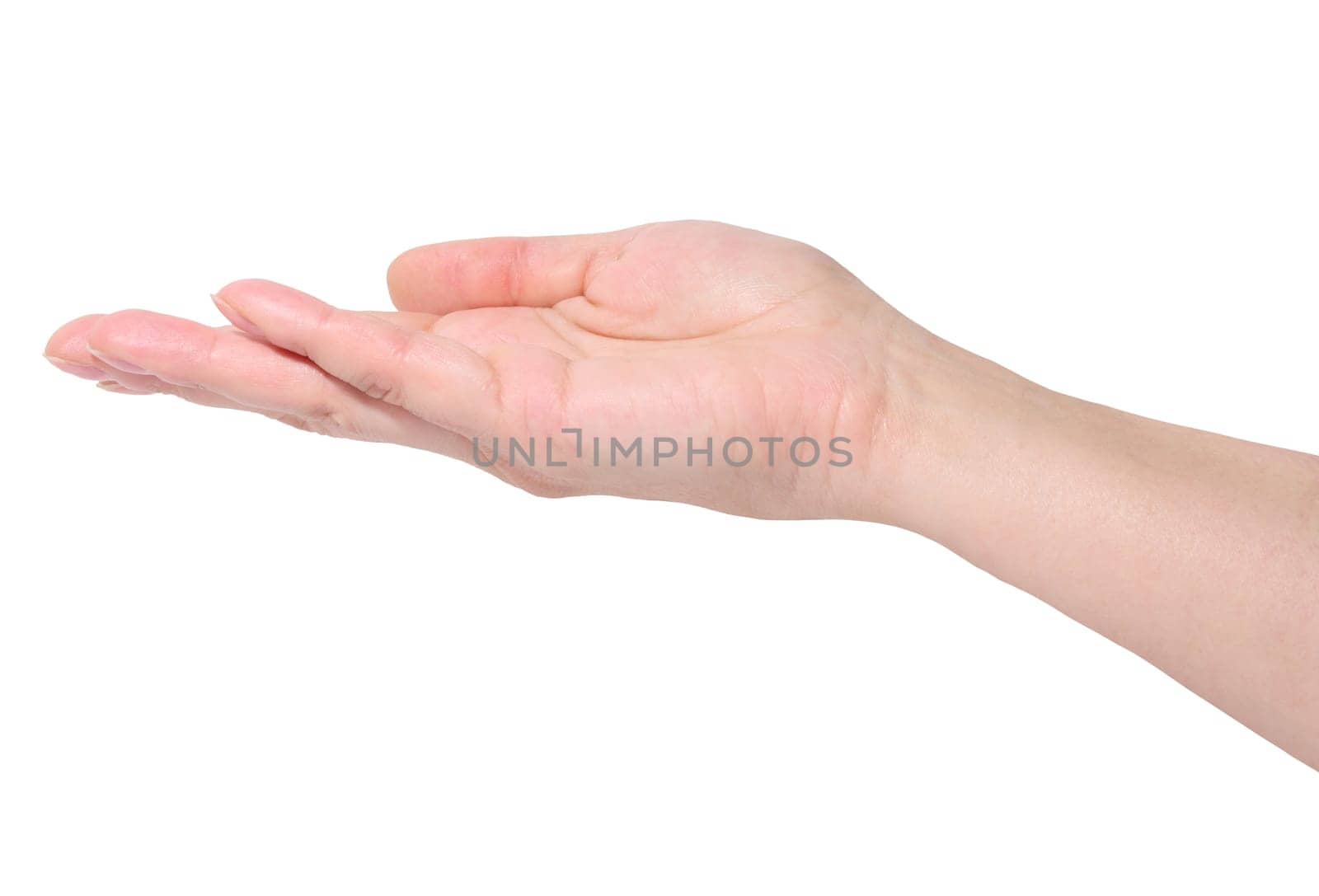 Female hand with open palm on isolated background by ndanko