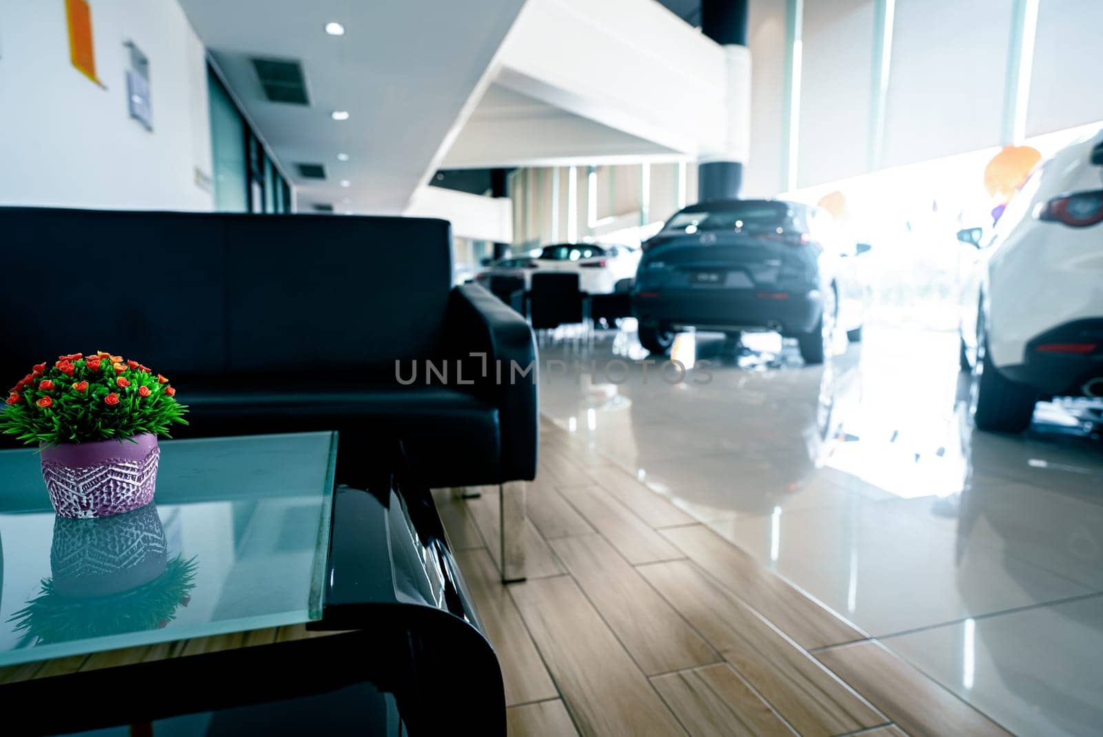 Rear view of new car parked in luxury showroom. Closeup new car parked in modern showroom. Automobile leasing and insurance background. Automotive industry. Auto leasing business. Electric vehicle.