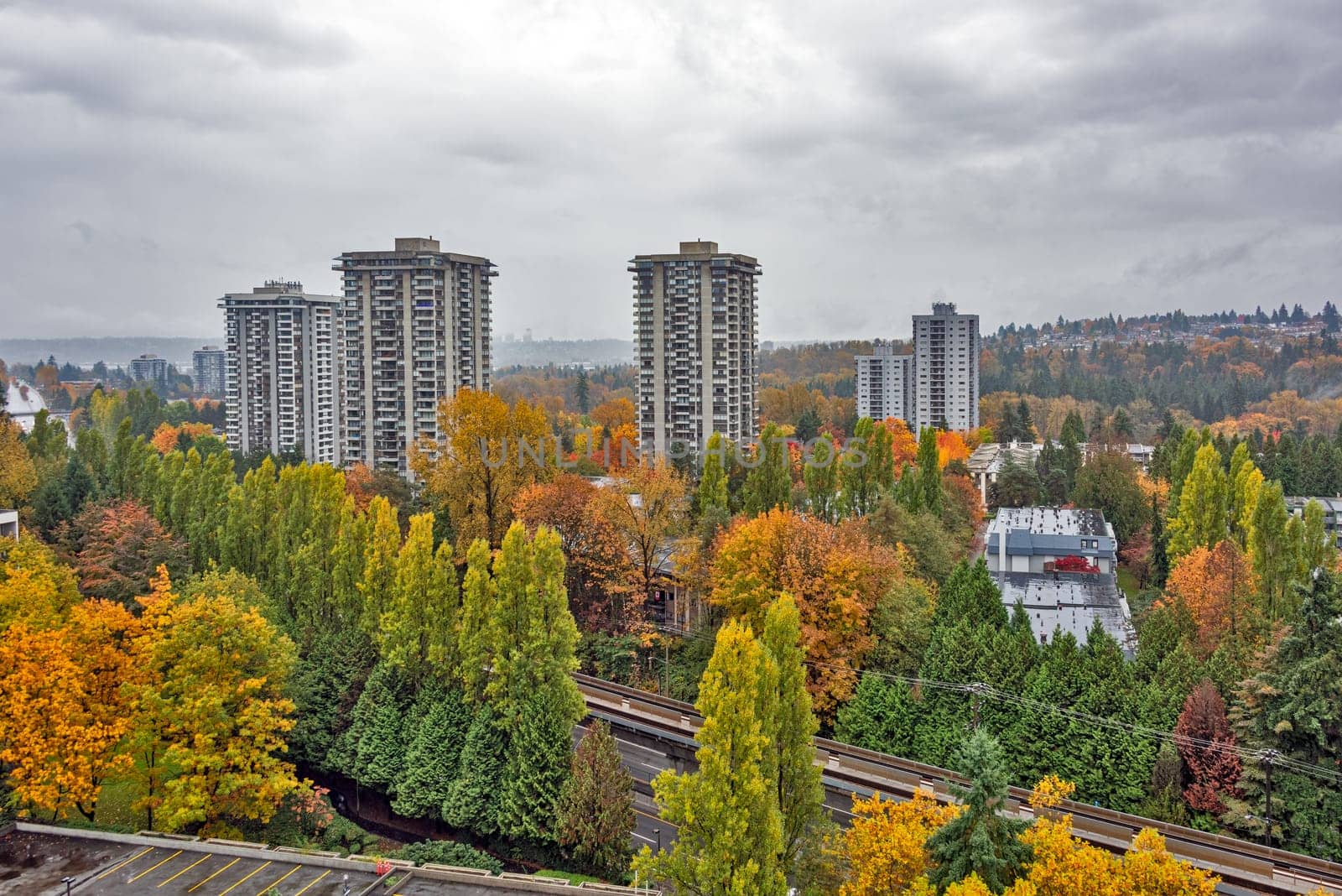 Colorful trees in cityscape on autum season in Burnaby, BC, Canada. Fall in a city