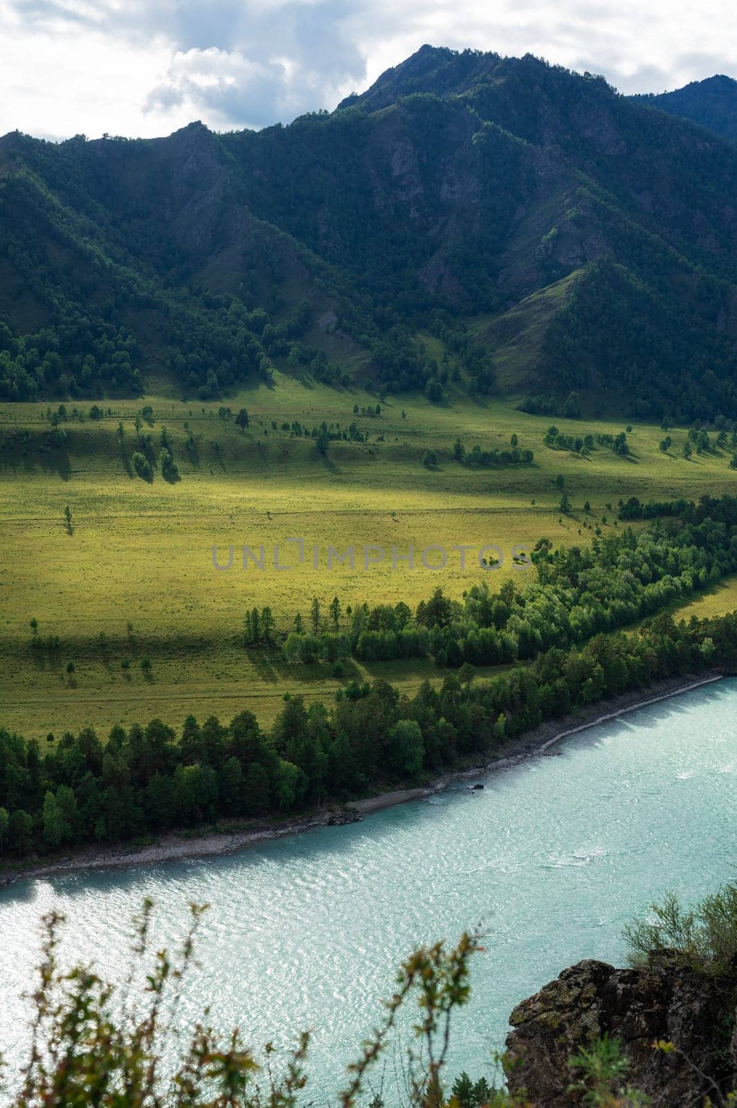 Beautiful view of mountain river Katun and green valley by rusak