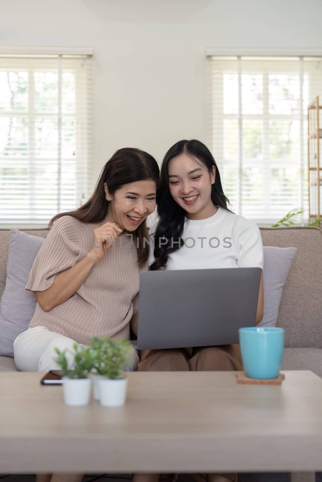 Senior mother and adult daughter relaxing and looking at laptop together at home by nateemee