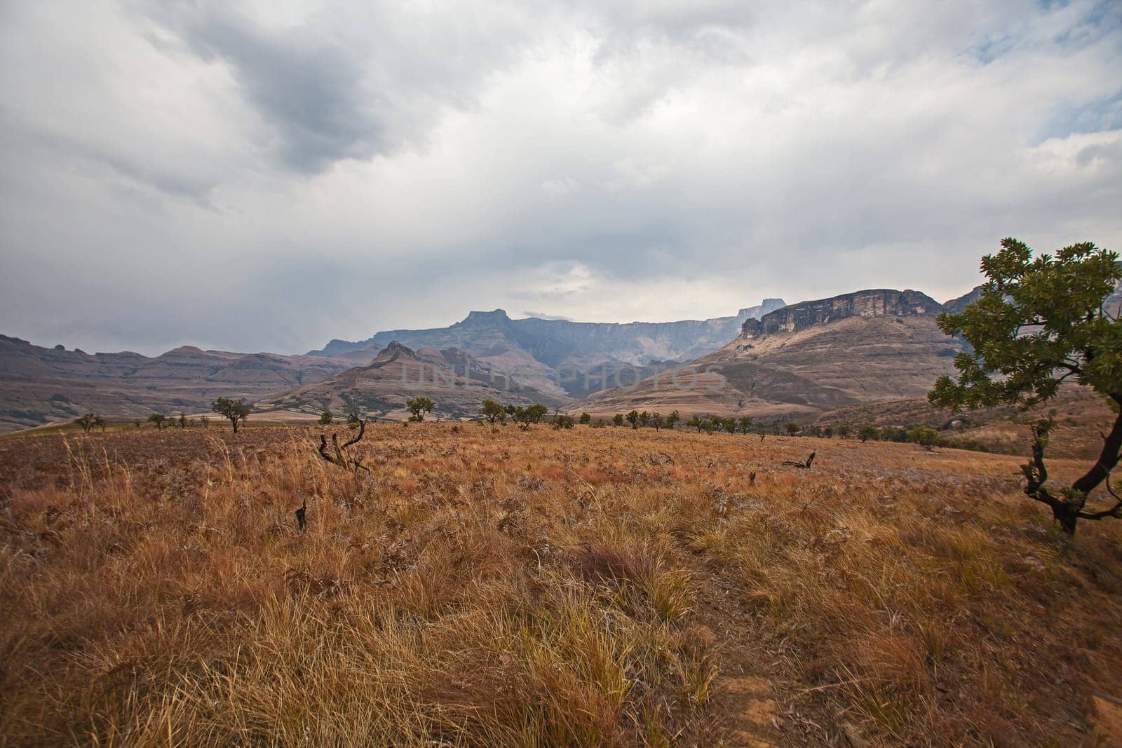 Drakensberg Mountain scene 15563 by kobus_peche