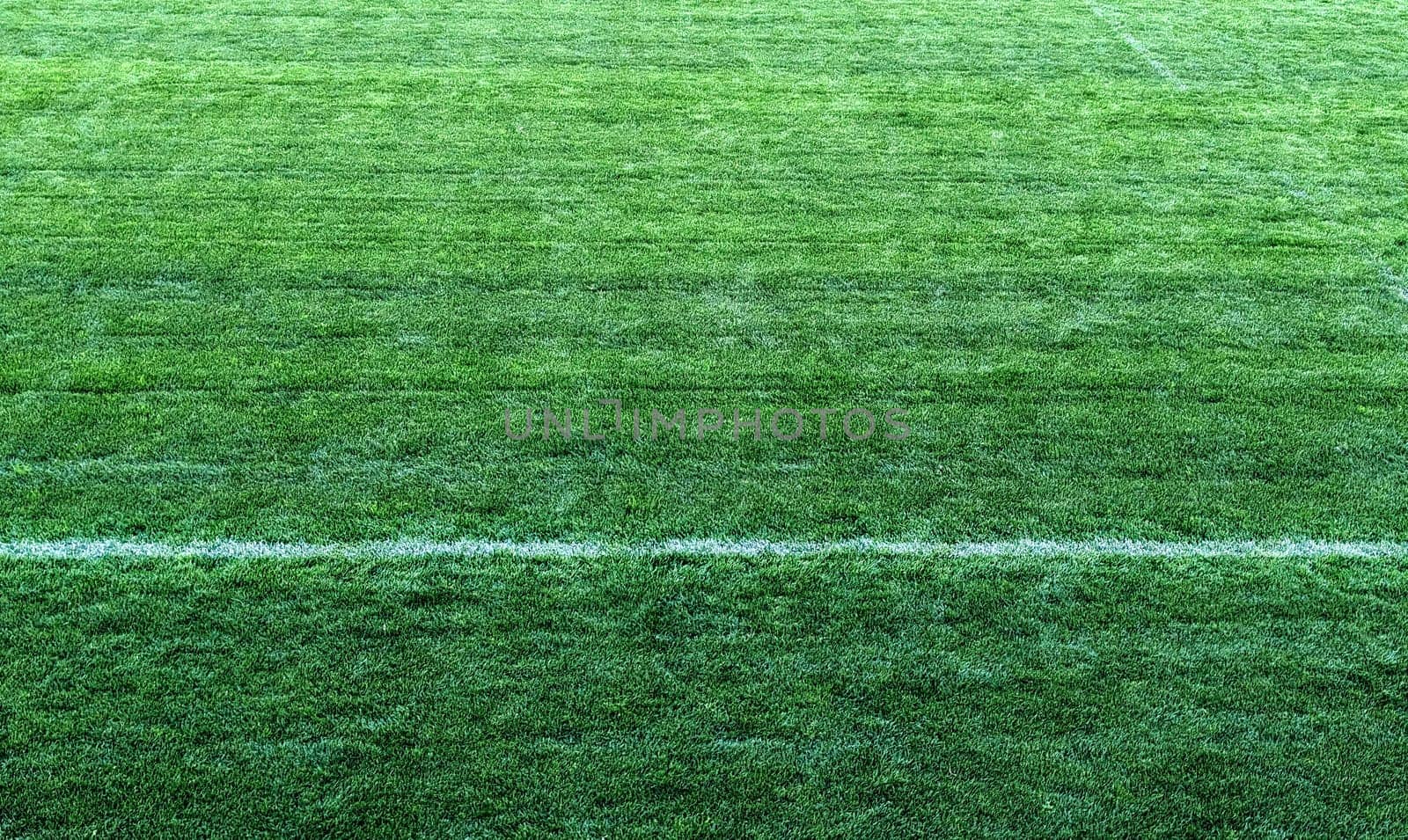 Green grass texture of a soccer or rugby field by jackreznor