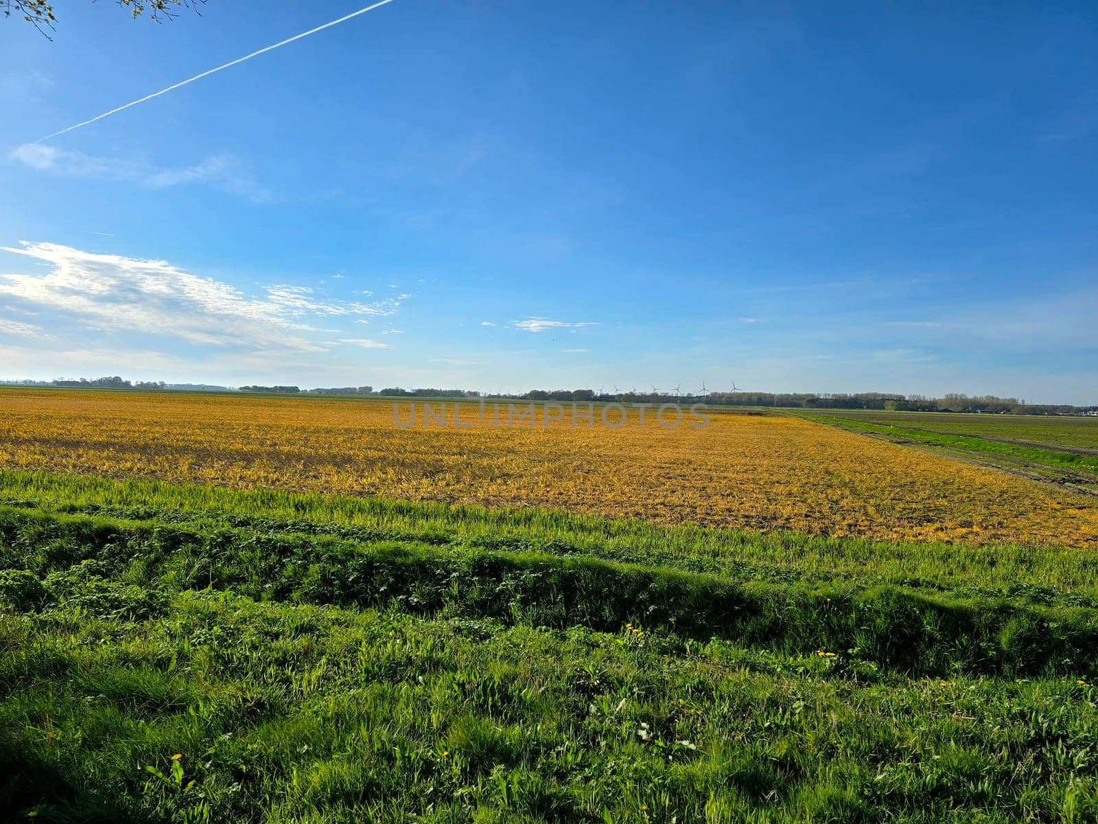 Glyphosate on farmland in the Netherlands, Effect of glyphosate herbicide sprayed on grass weeds prepare for new farm season on agriculture field, Glyphosate herbicide used to control weeds in crops