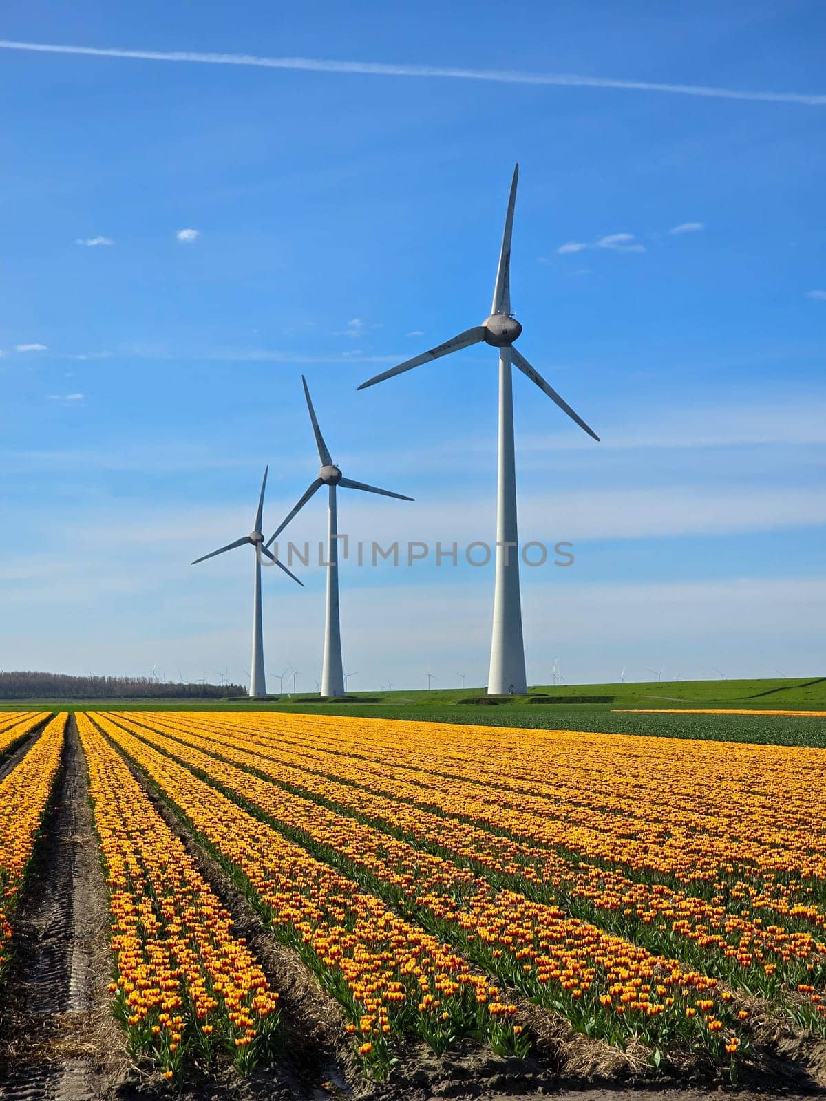 Windmill park in the ocean, drone aerial view of windmill turbines at sea in the Netherlands by fokkebok