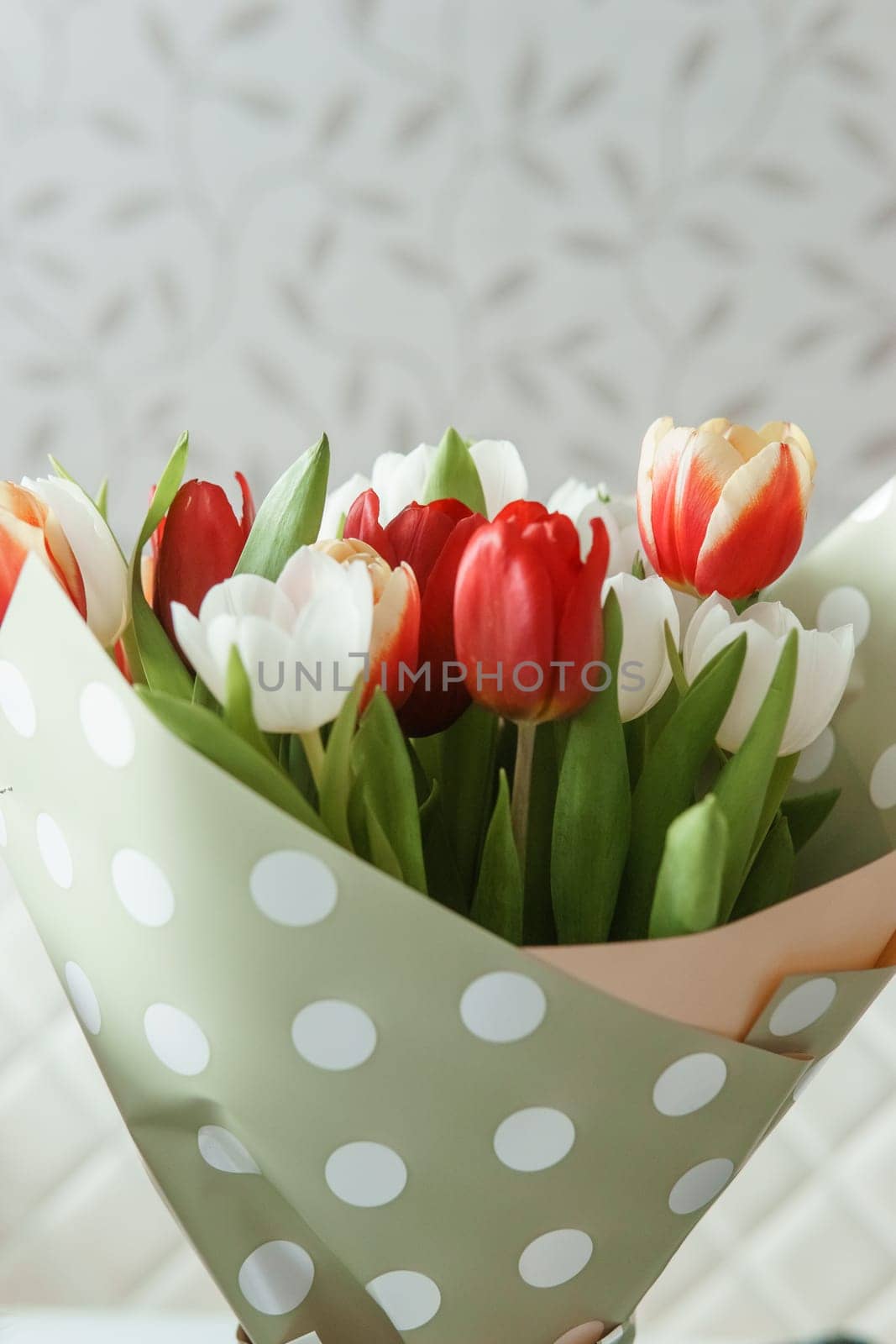 Tender Petals: Tulips Captured in Camera Lens for International Women's Day