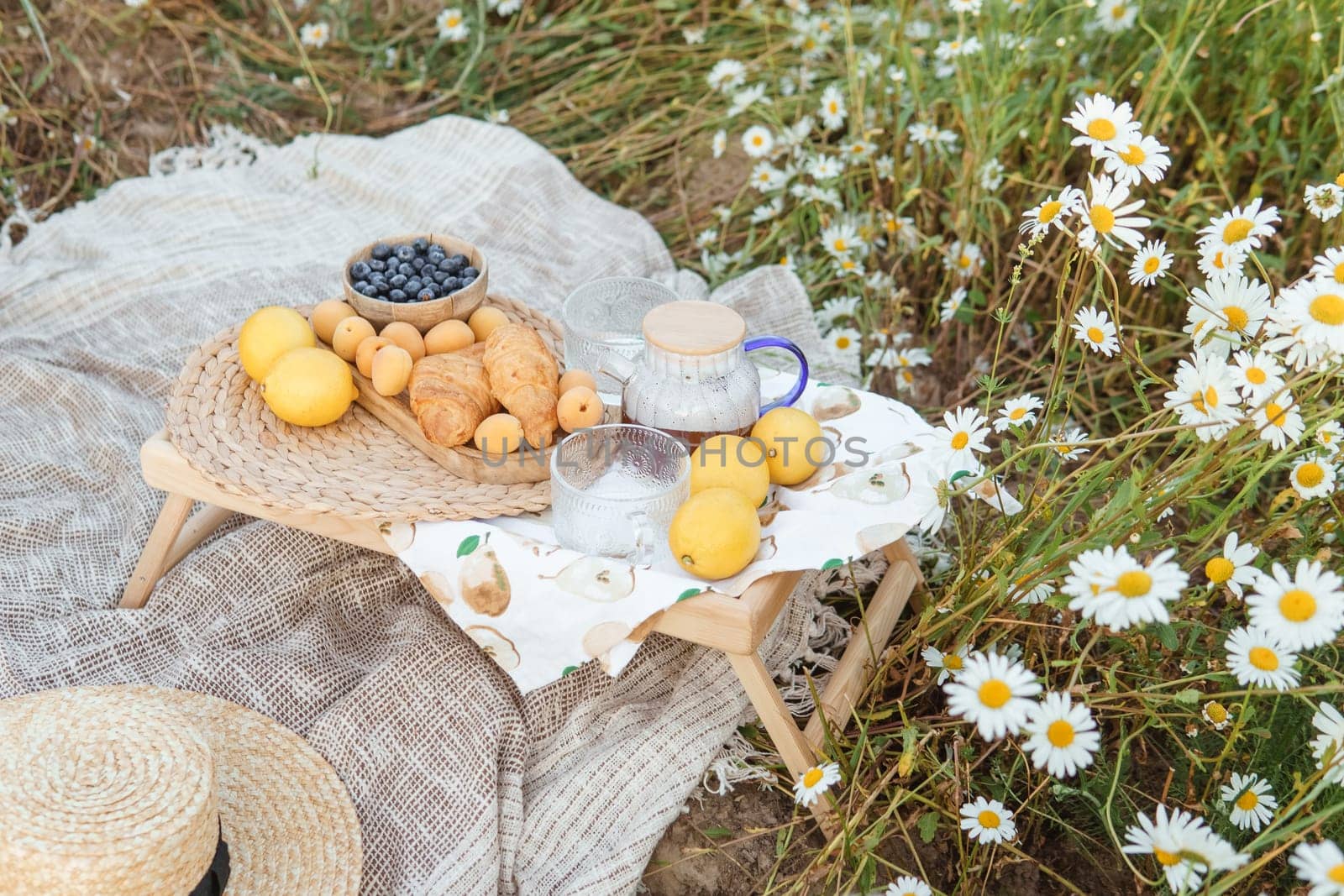 Picnic in the chamomile field. A large field of flowering daisies. The concept of outdoor recreation