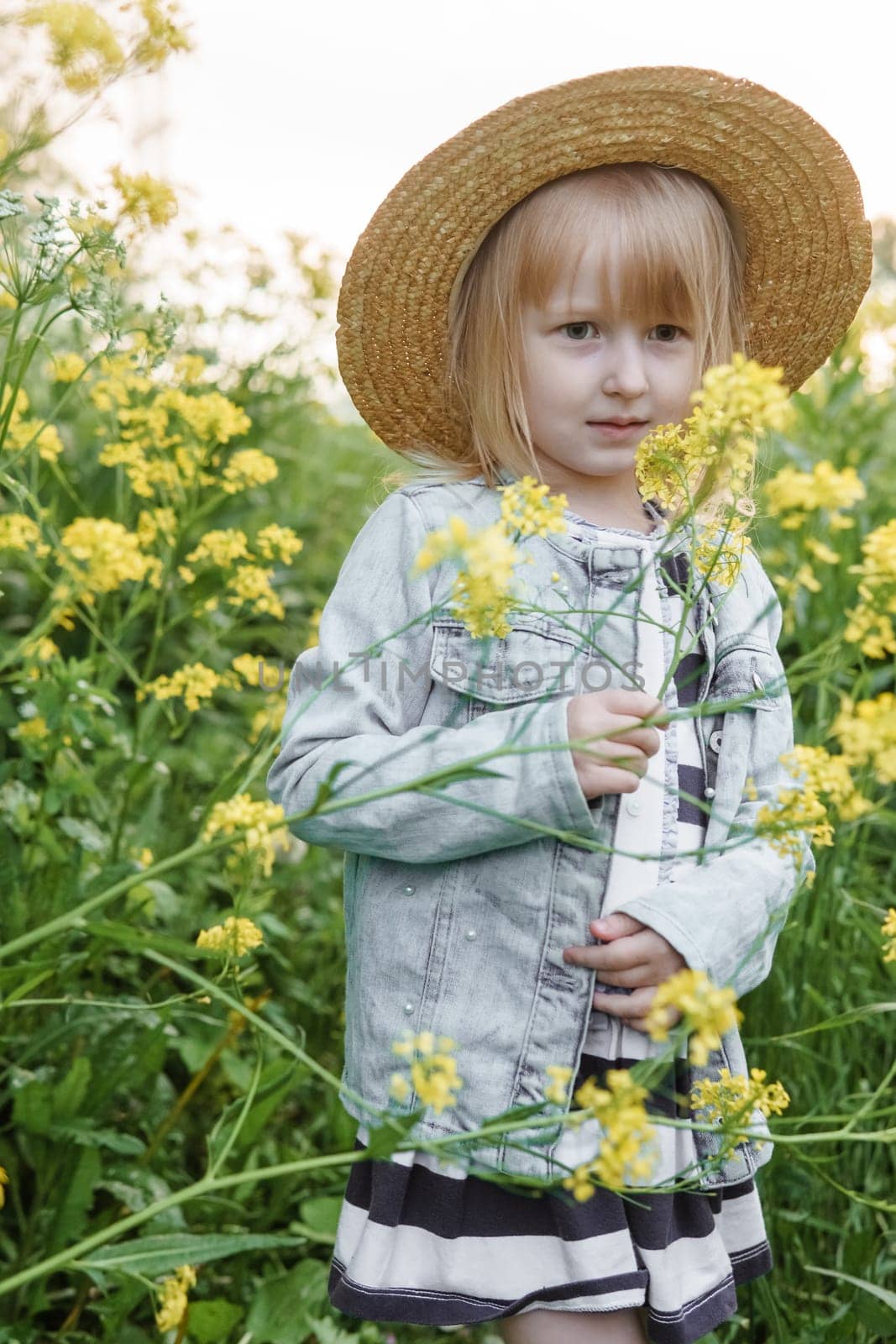 Blonde girl in a field with yellow flowers. A girl in a straw hat is picking flowers in a field. A field with rapeseed. by Annu1tochka