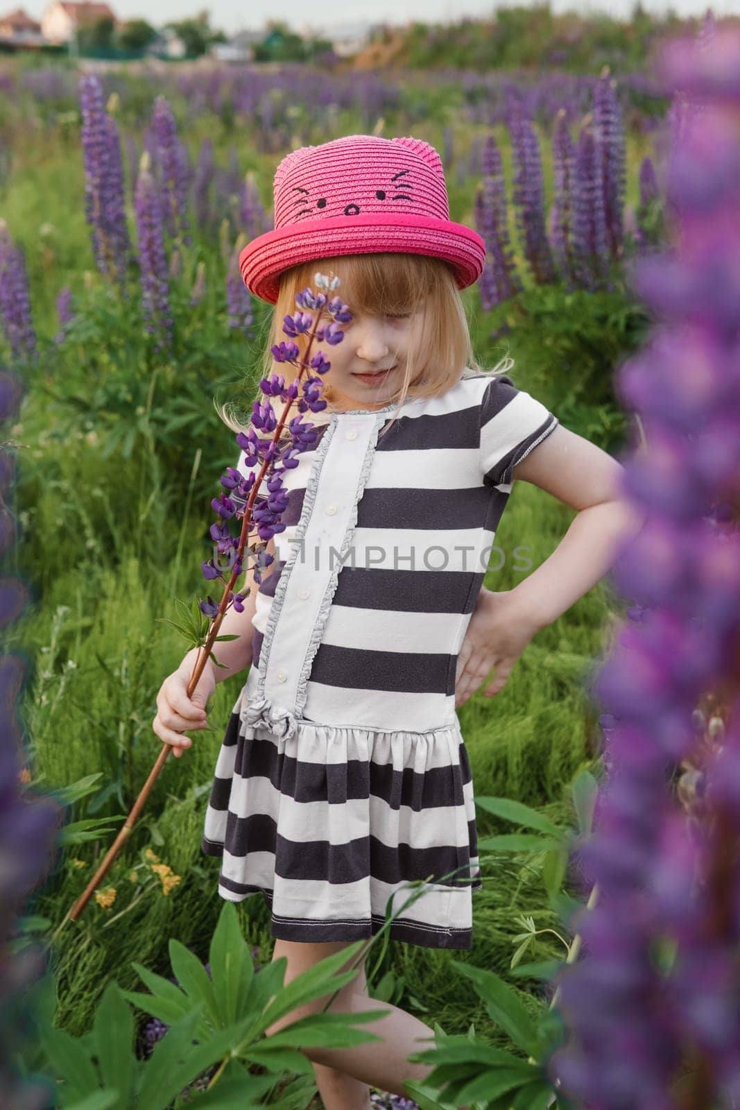 A blonde girl in a field with purple flowers. A little girl in a pink hat is picking flowers in a field. A field with lupines by Annu1tochka