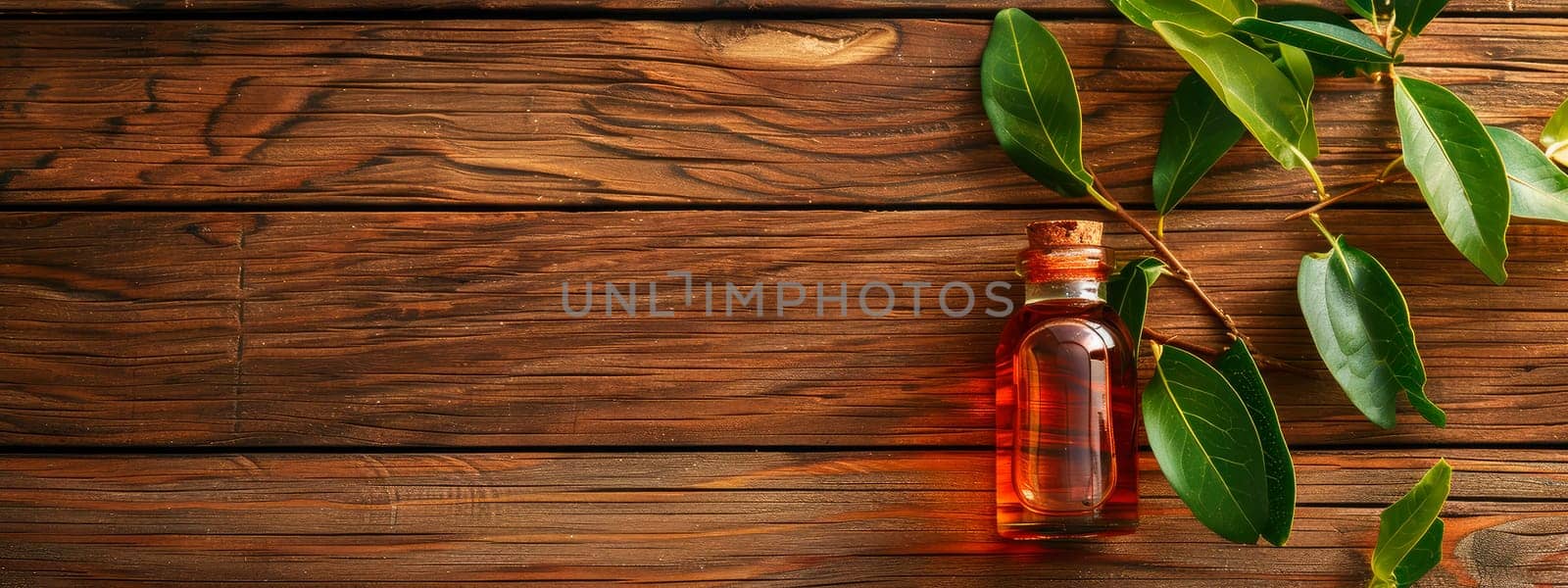 sage essential oil in a bottle. selective focus. by yanadjana