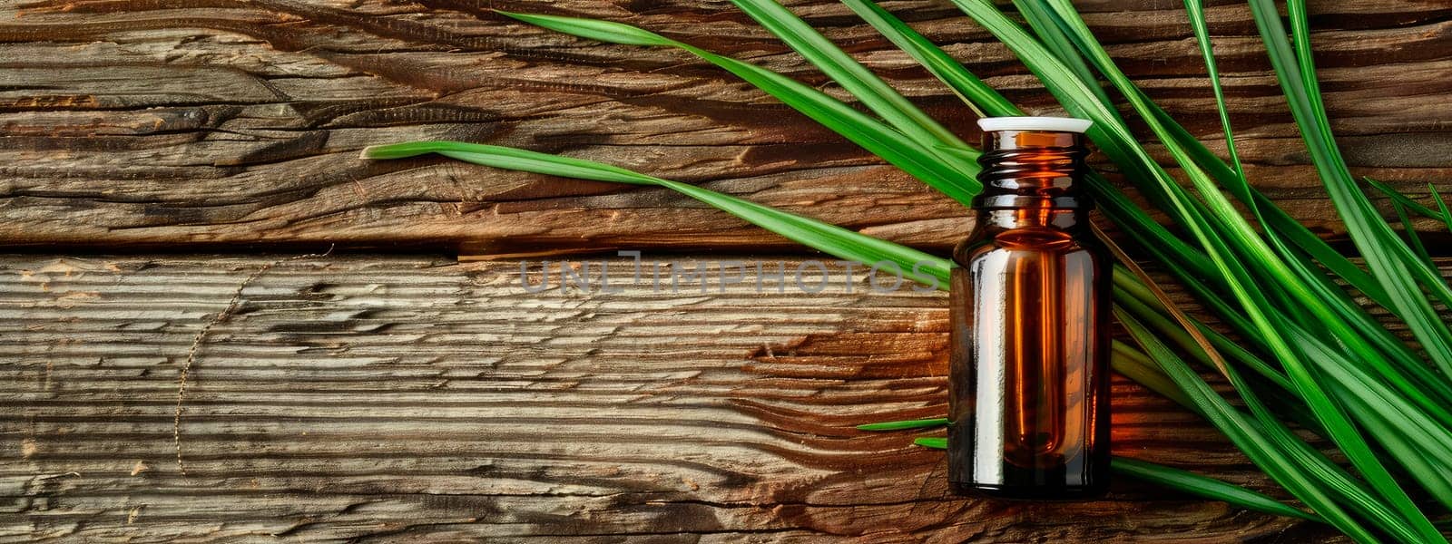 vetiver essential oil in a bottle. selective focus. nature.