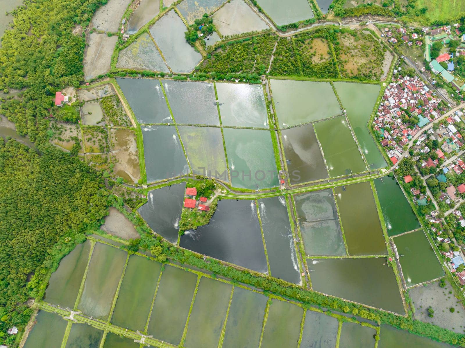 Aerial drone of houses of farmers among farmland and agricultural land. Negros, Philippines