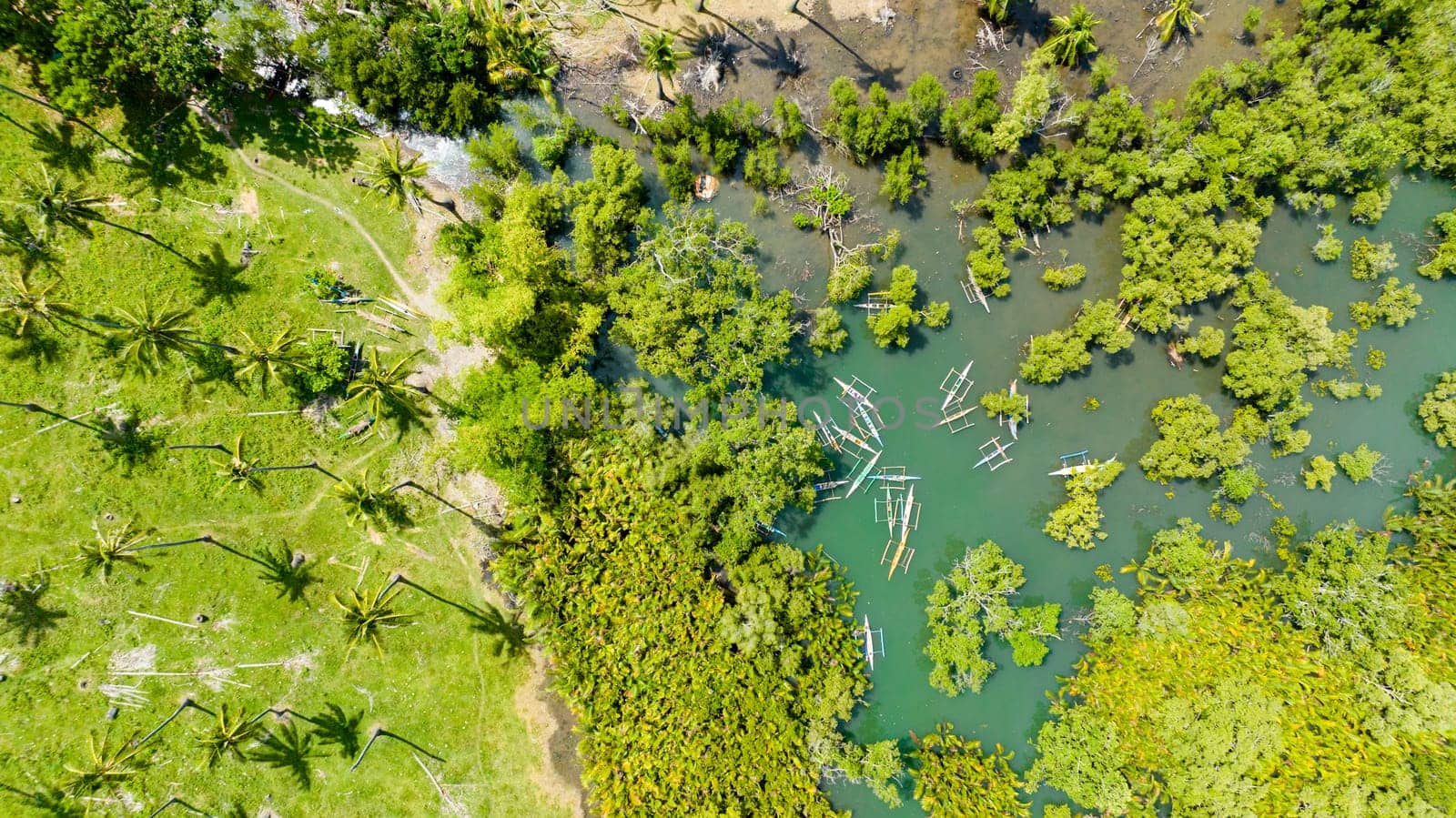 Aerial view of boats among the mangroves next to the shore and palm trees. Negros, Philippines.