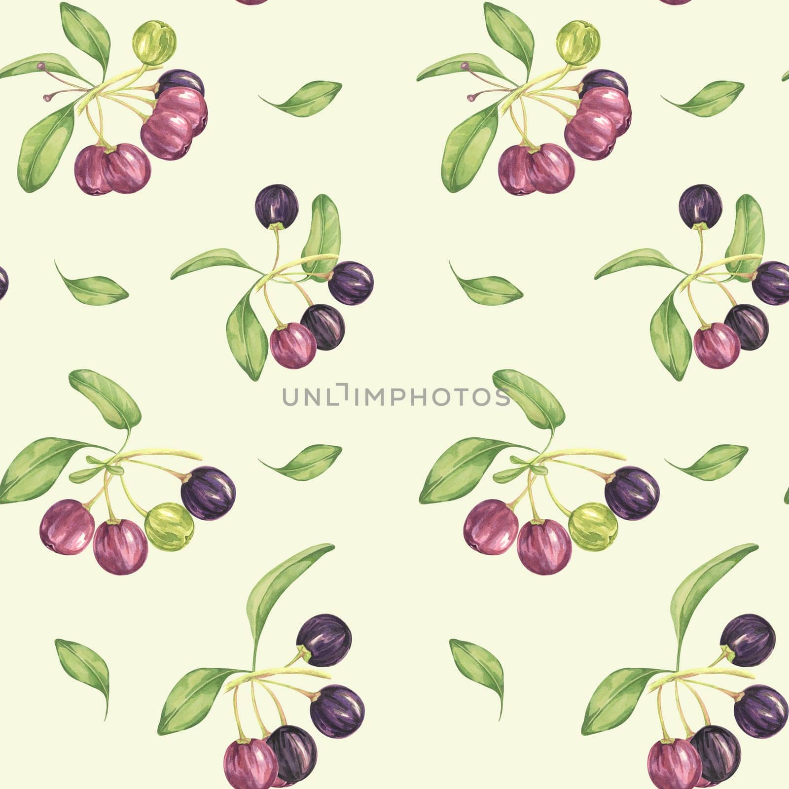 Seamless pattern with maqui berries and leaves. Hand drawn watercolor illustration of Chilean wineberry plant isolated on pale yellow background. Aristotelia chilensis design elements for printing,packaging, food supplements, apparel, textile,cards