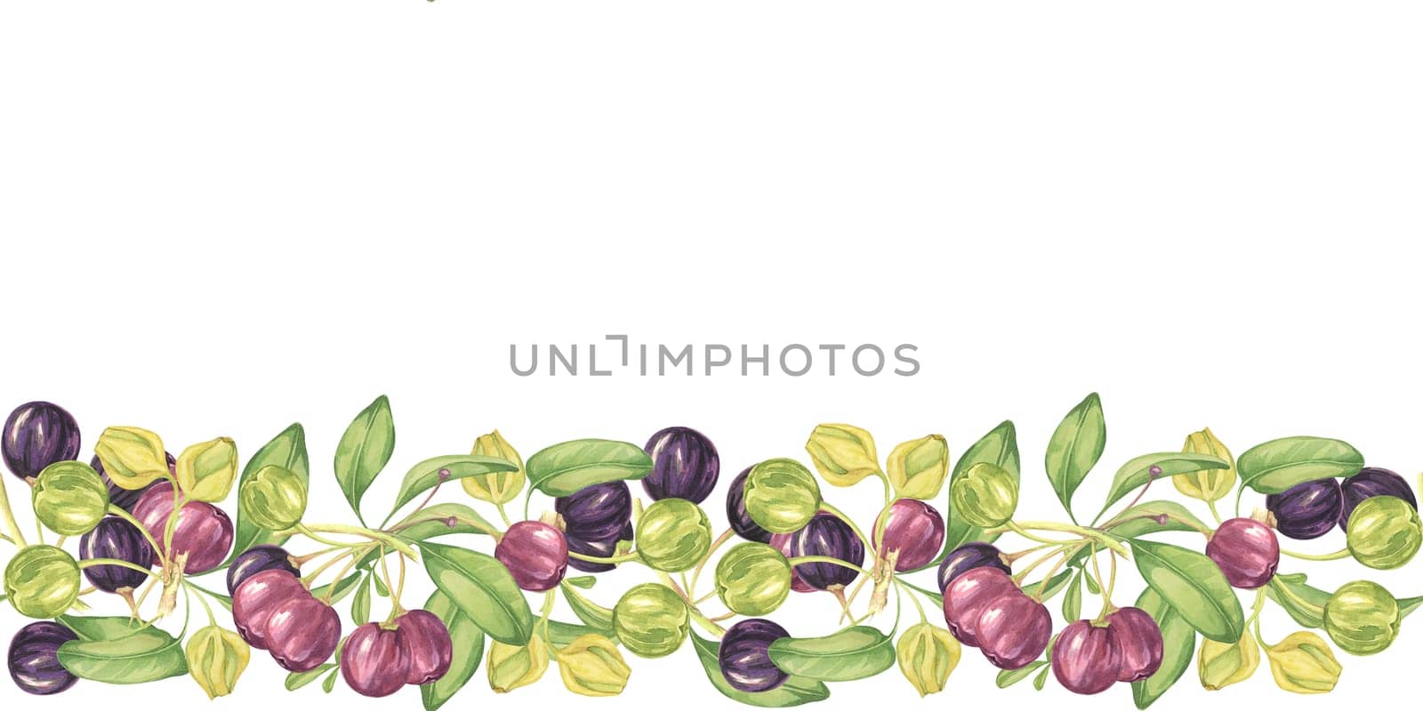 Seamless border maqui berries and leaves by Fofito