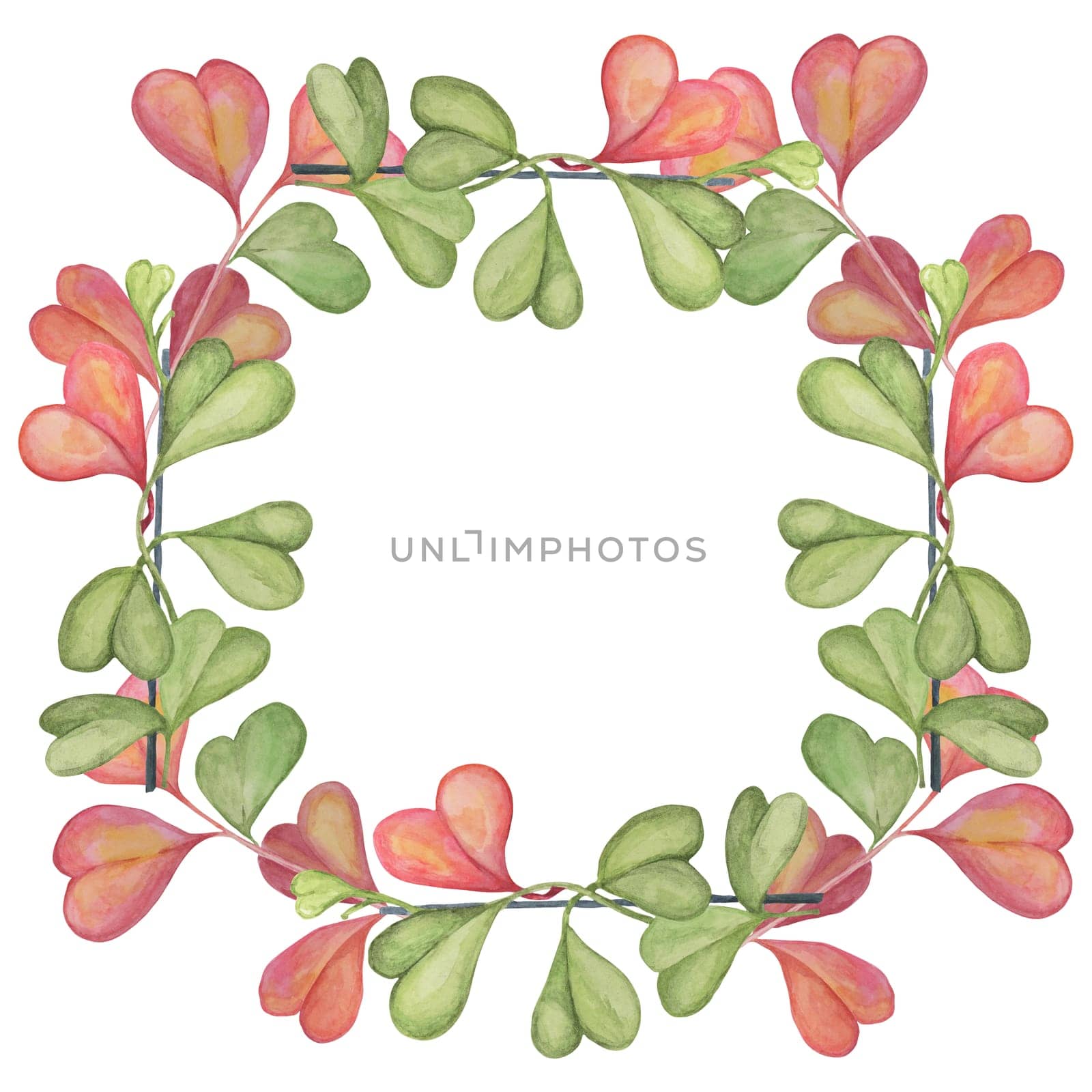Square frame with pink and green sweetheart hoya by Fofito