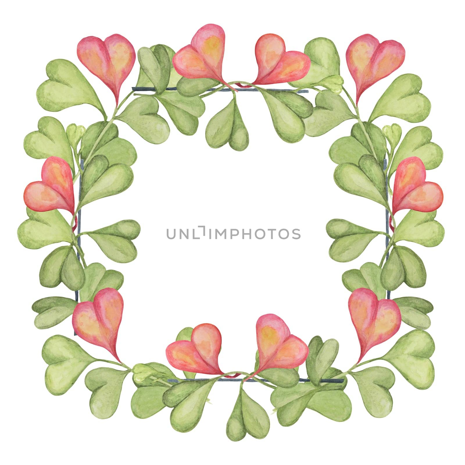 Square frame with gentle sweetheart hoya, hoya kerrii plant in pink and green, isolated hand drawn watercolor. Clipart for Mothers, Fathers day design for printing, cards, gift wrapping, textile