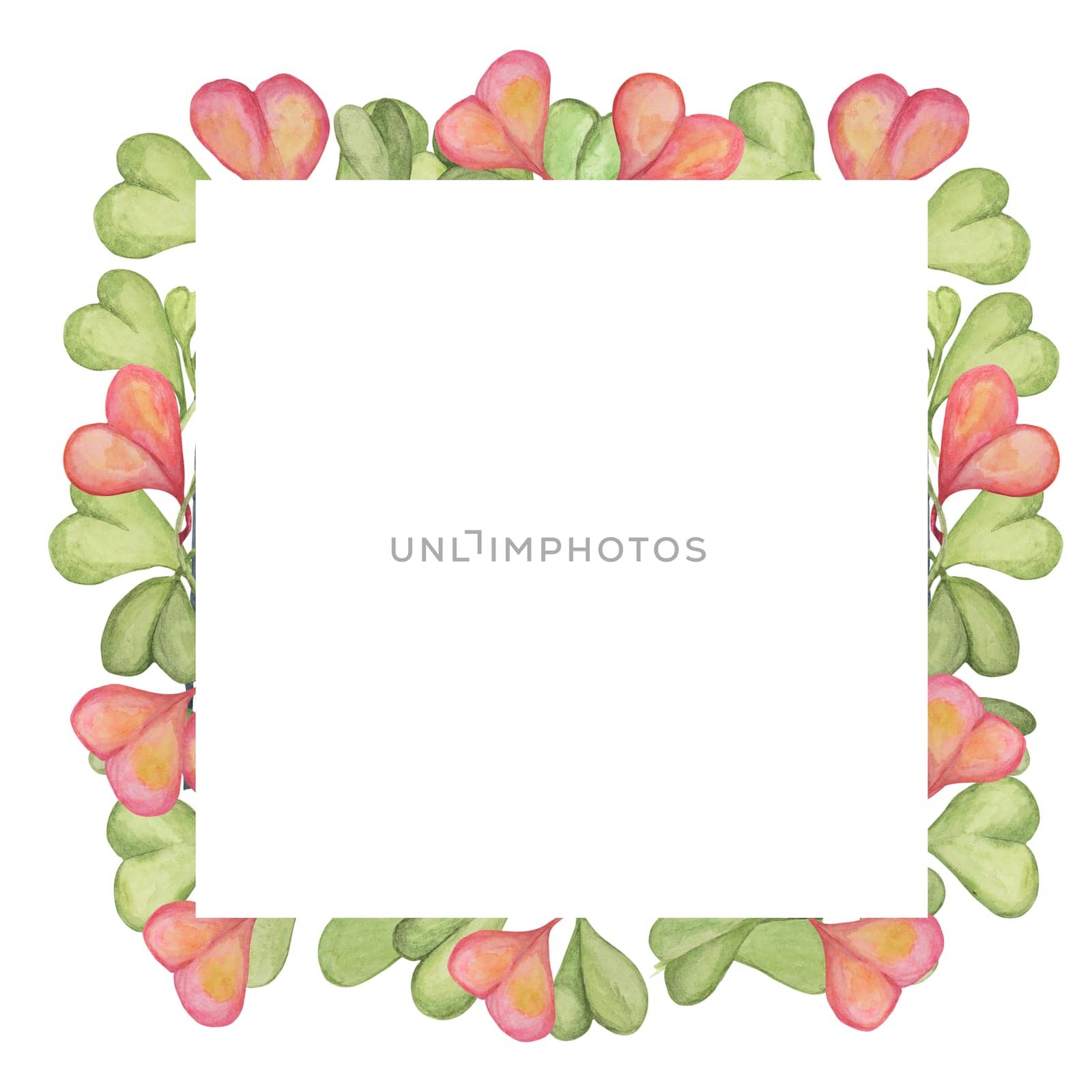 Square frame with blank space sweetheart hoya, hoya kerrii plant in pink and green, isolated hand drawn watercolor. Clipart for Mothers, Fathers day design for printing, cards, gift wrapping, textile