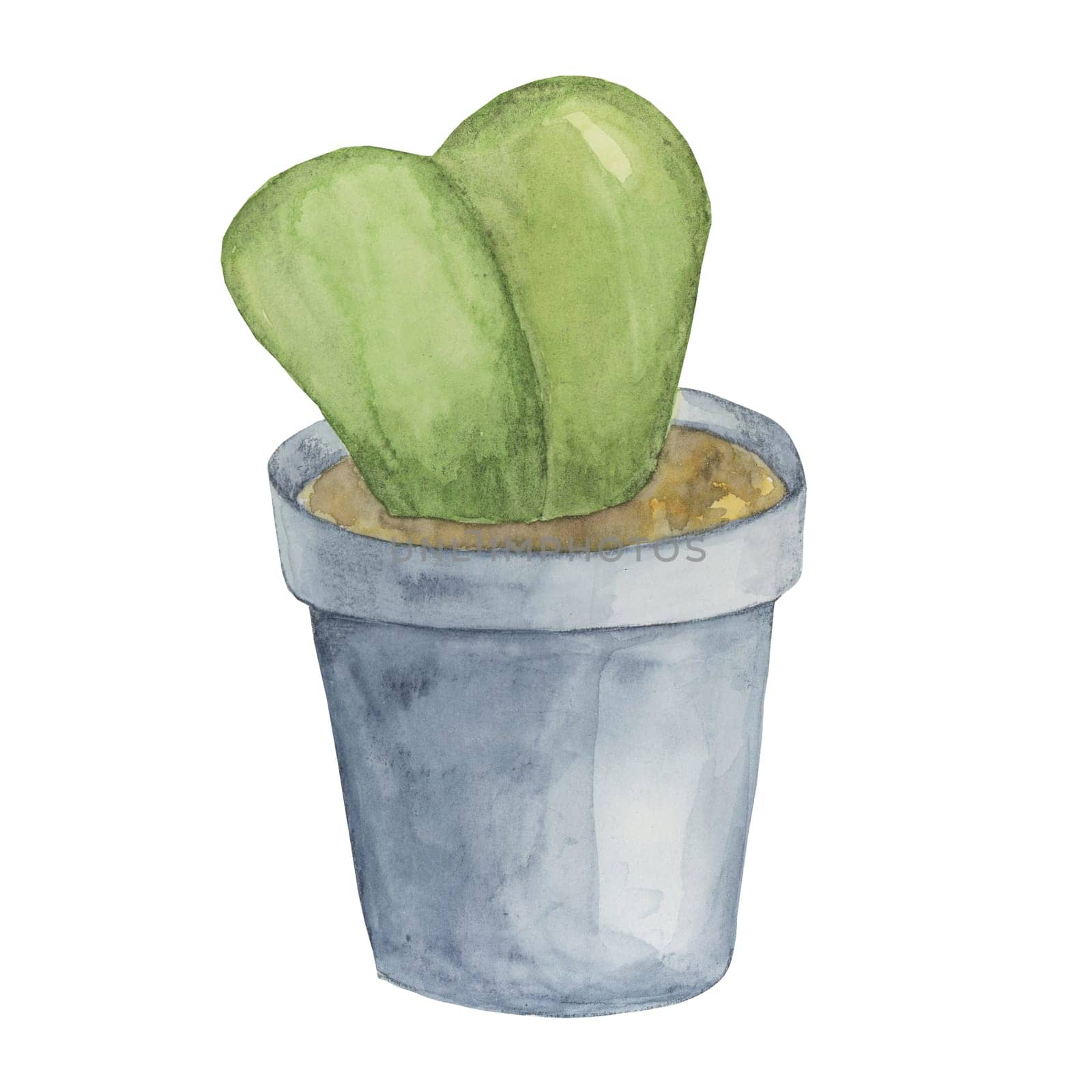 Single green sweetheart hoya in watercolor. by Fofito