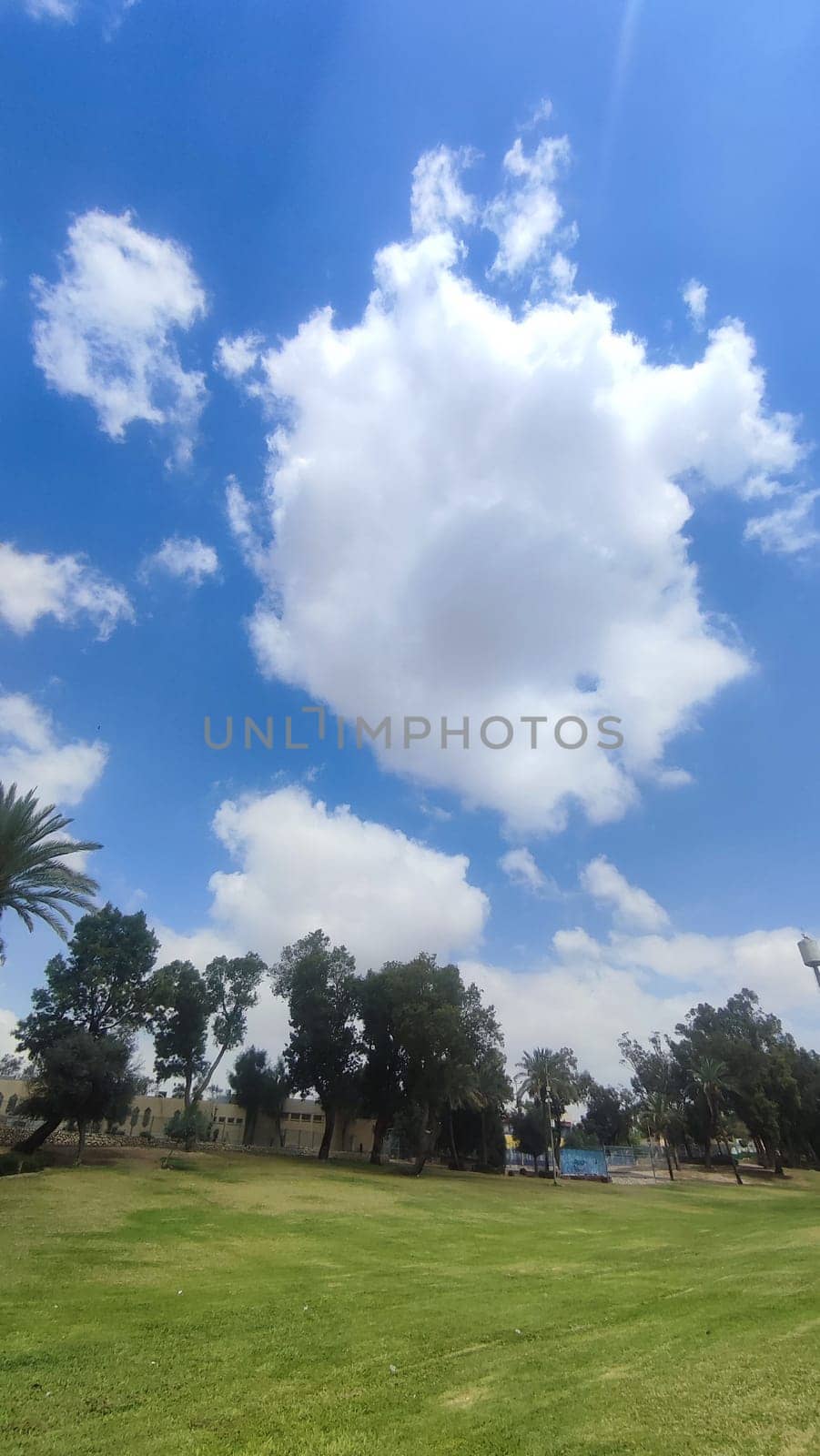 green park spring summer, trees, grass, leaves and sky, landscape. High quality photo