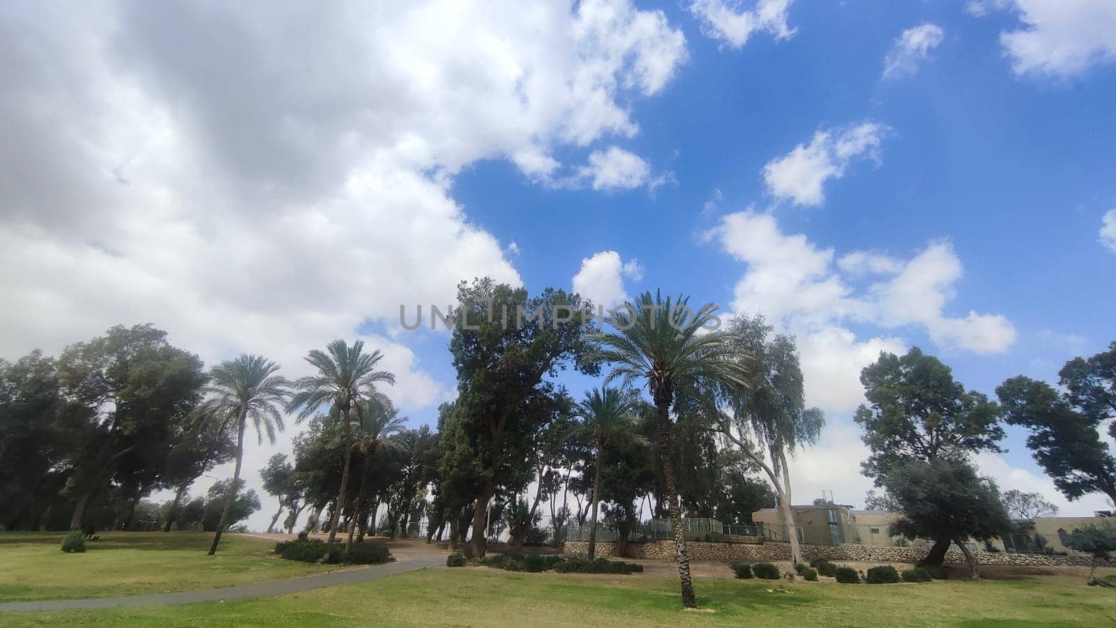 green park spring summer, trees, grass, leaves and sky, landscape. High quality photo