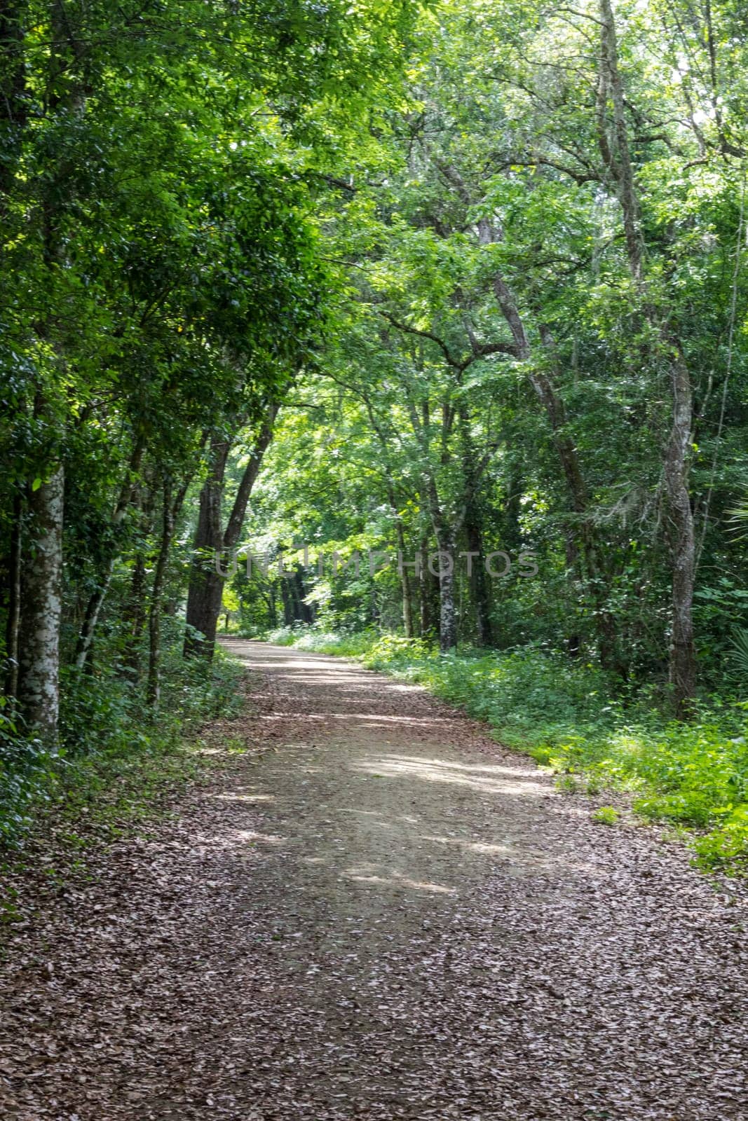 Lake Apopka Loop Trail, Florida