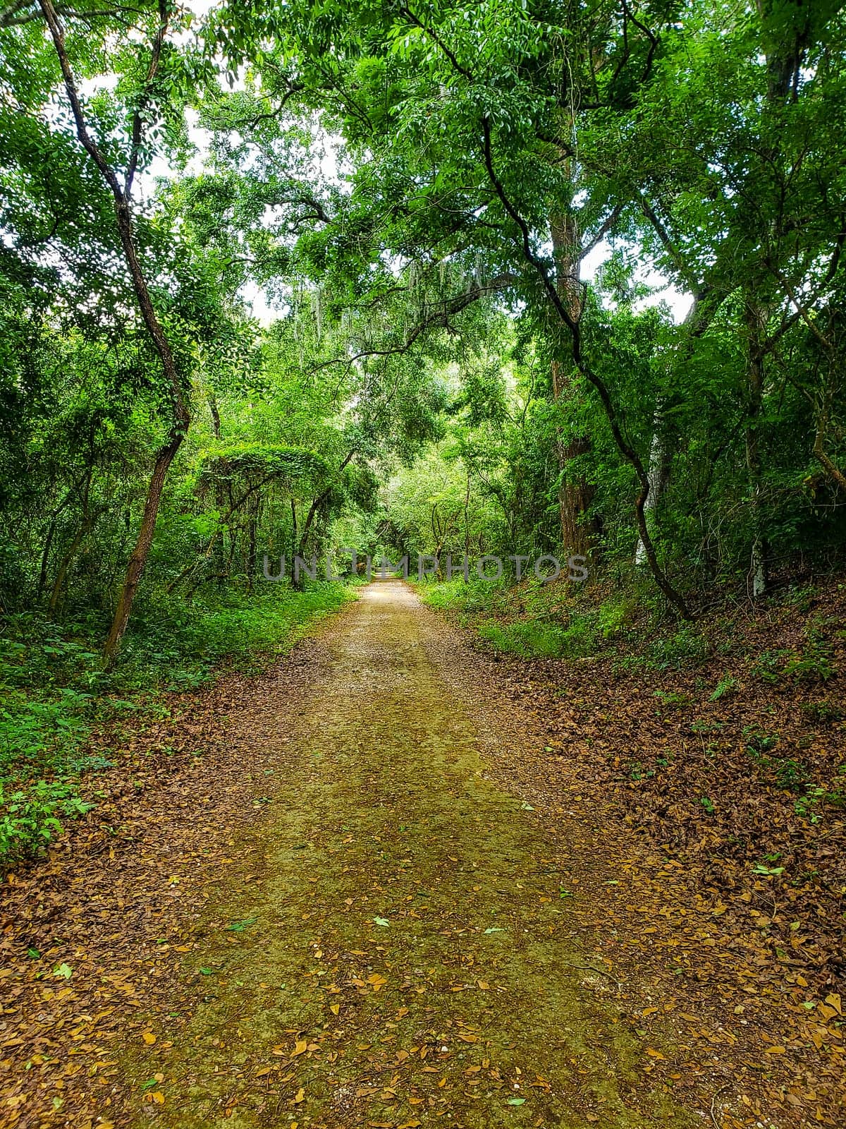 Lake Apopka Loop Trail, Florida