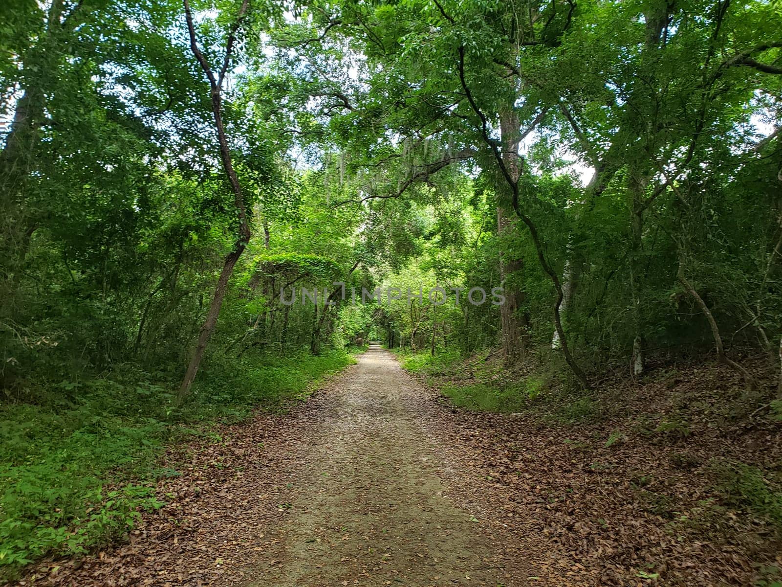Lake Apopka Loop Trail, Florida