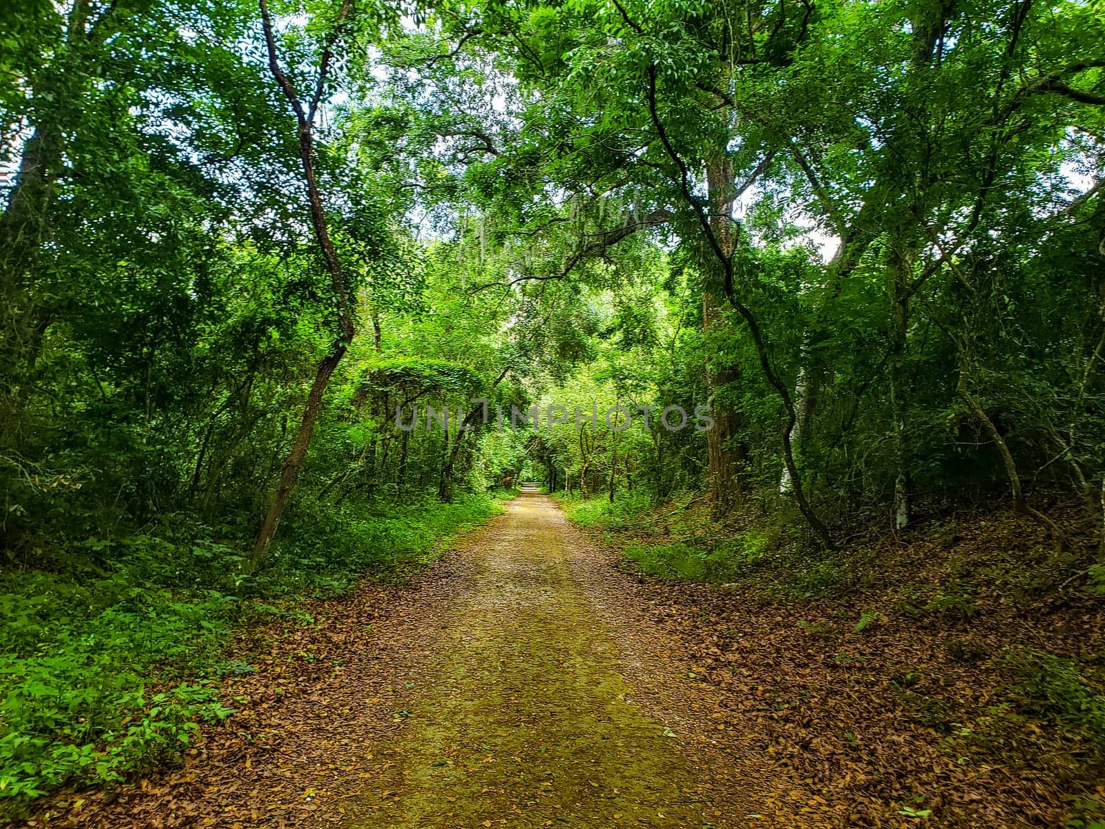 Lake Apopka Loop Trail, Florida