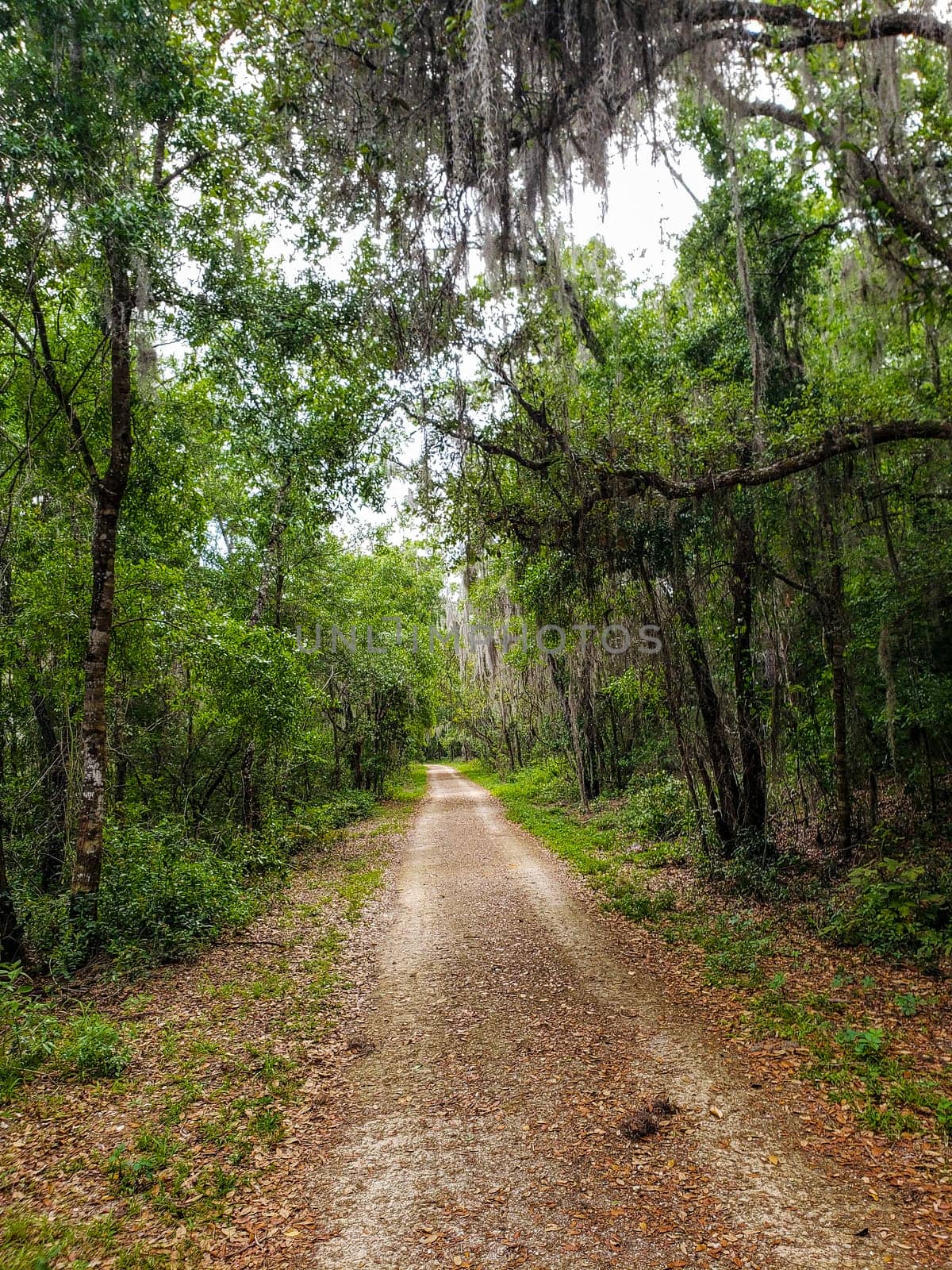 Lake Apopka Loop Trail, Florida