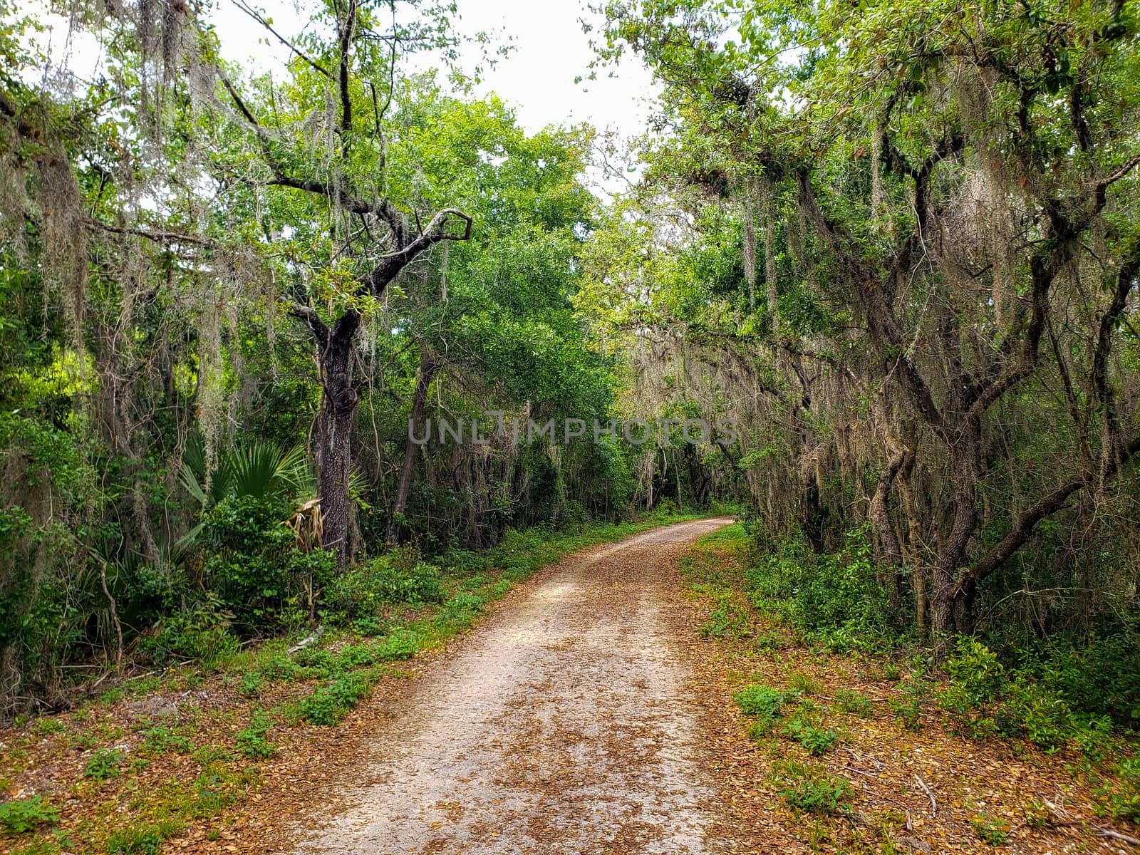 Lake Apopka Loop Trail, Florida