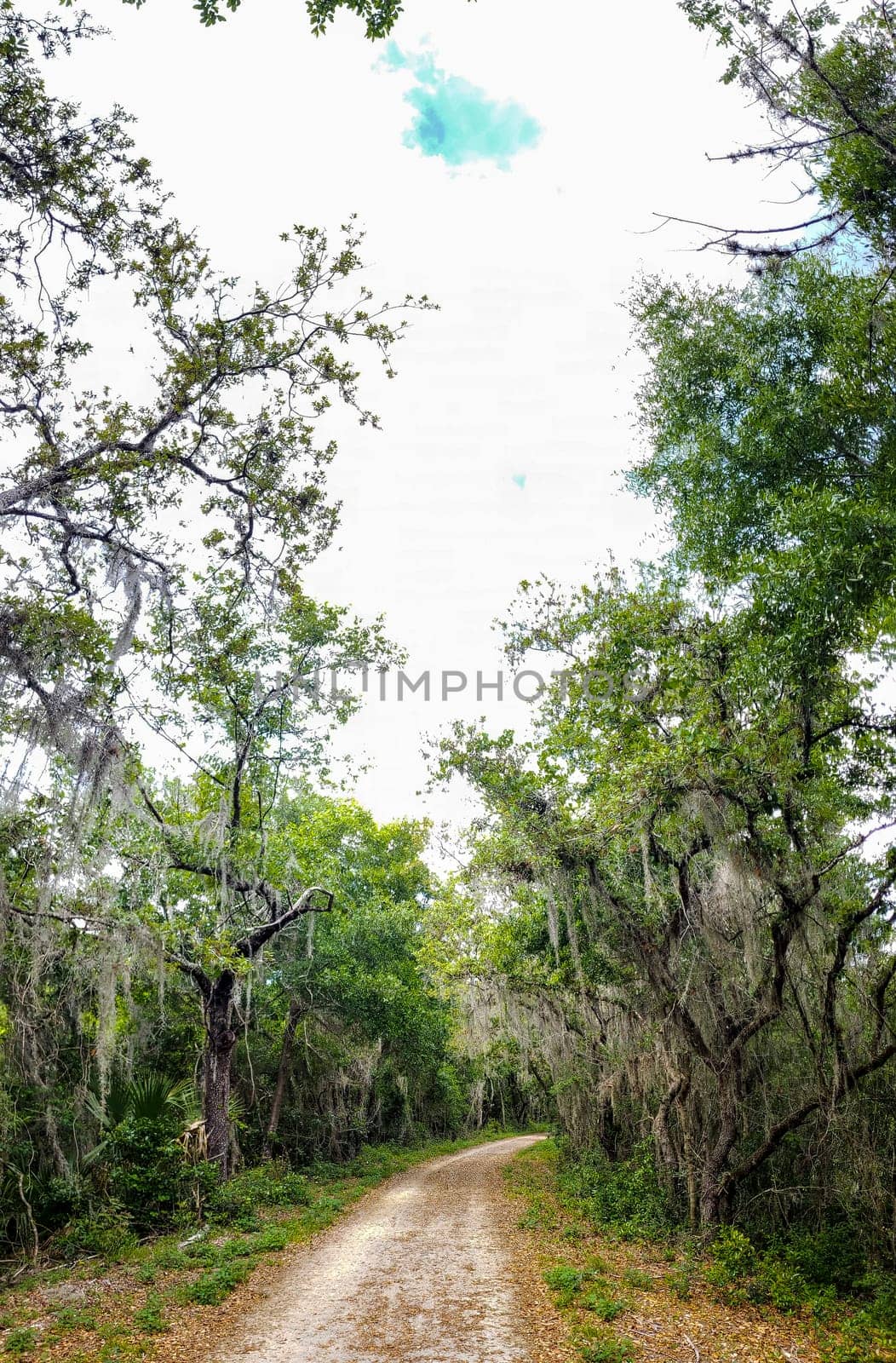 Lake Apopka Loop Trail, Florida