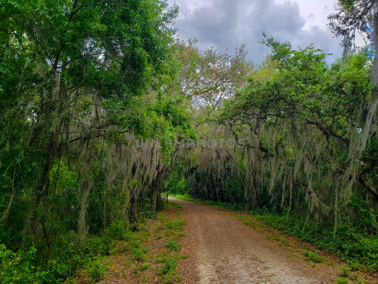 Lake Apopka Loop Trail, Florida