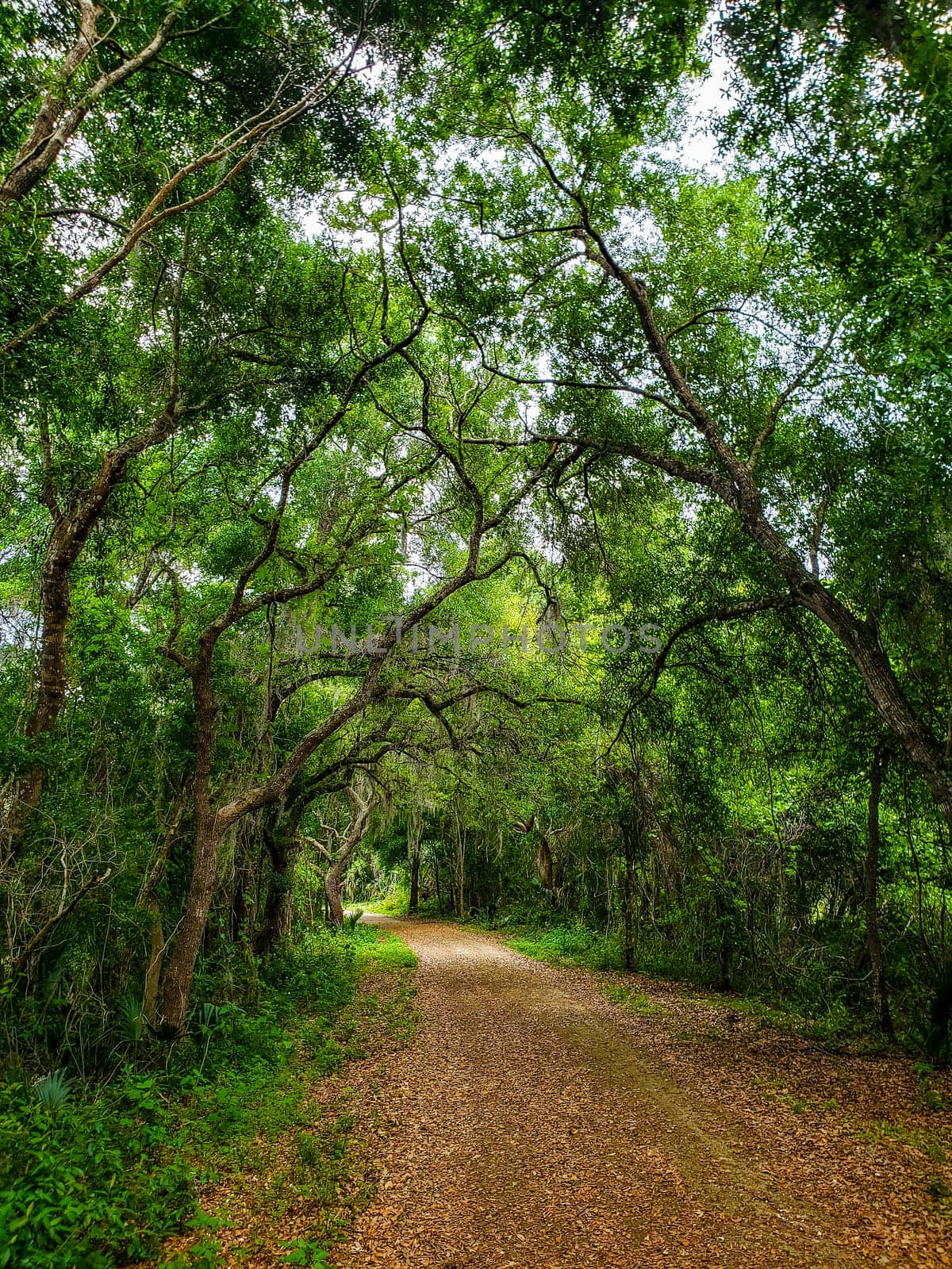 Lake Apopka Loop Trail, Florida