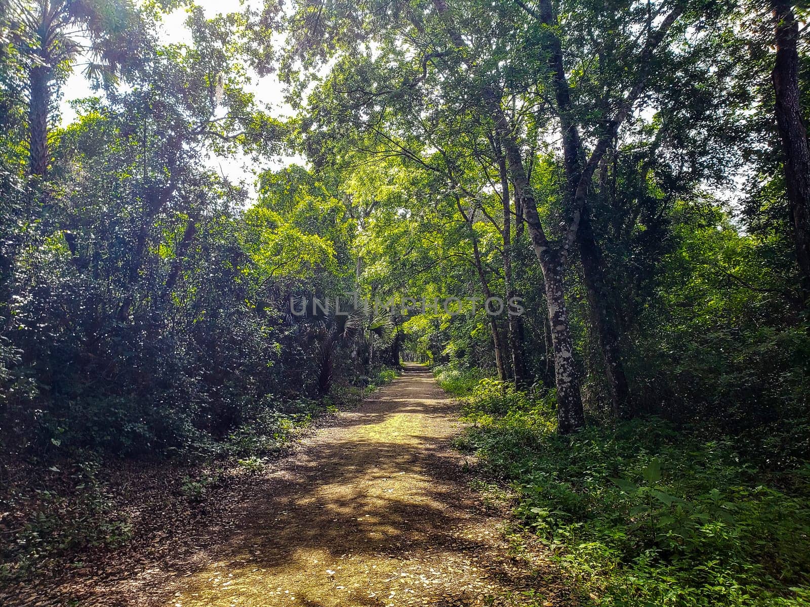Lake Apopka Loop Trail, Florida