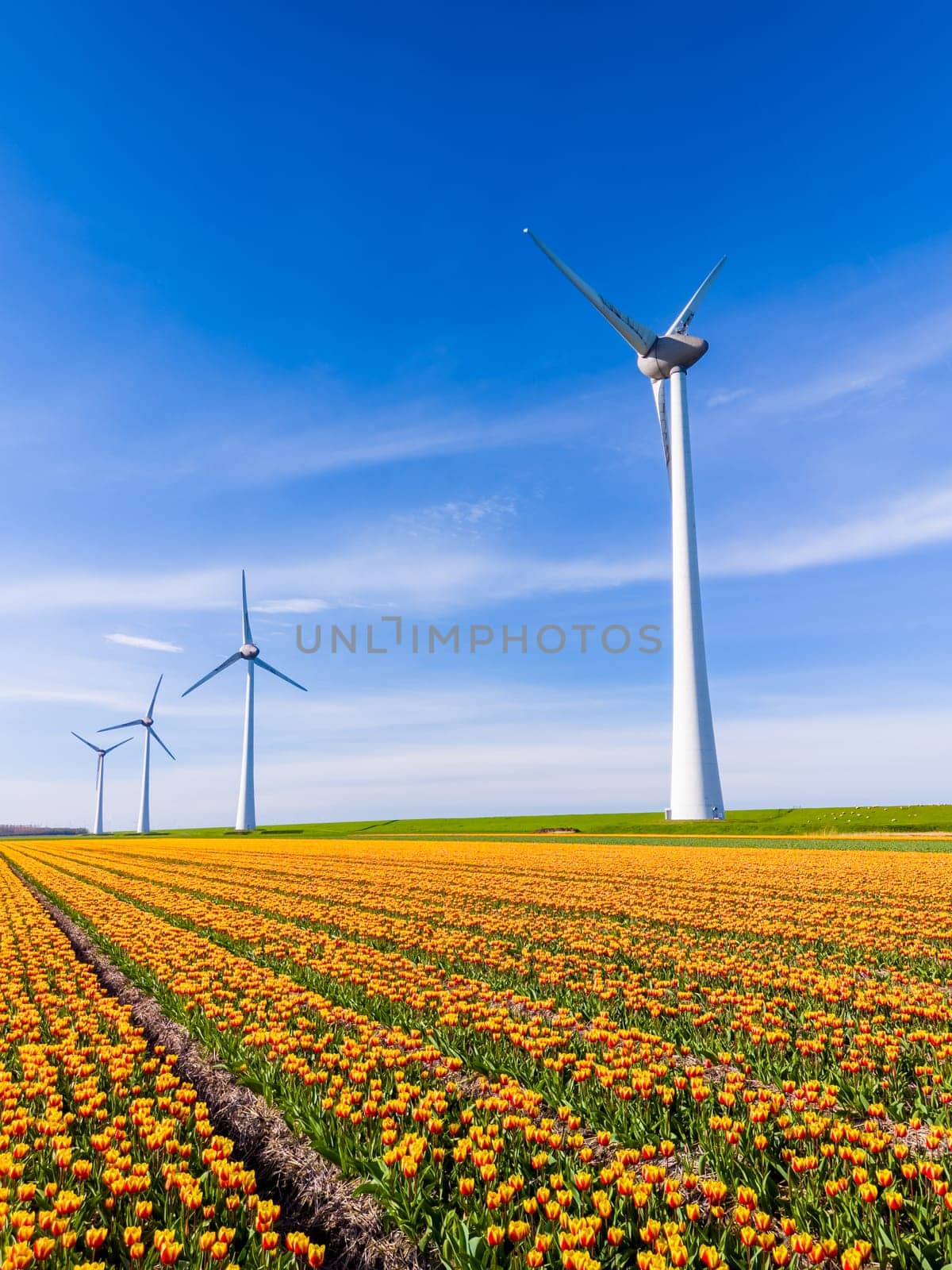 A vast field of vibrant yellow flowers sways in the gentle breeze, with majestic windmills standing tall in the background under a clear blue sky. zero emissions, carbon neutral, earth day
