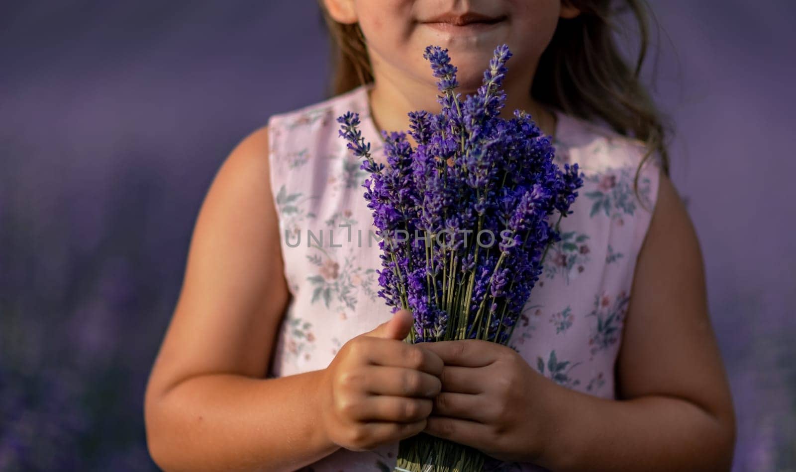 girl lavender field in a pink dress holds a bouquet of lavender on a lilac field. Aromatherapy concept, lavender oil, photo shoot in lavender.
