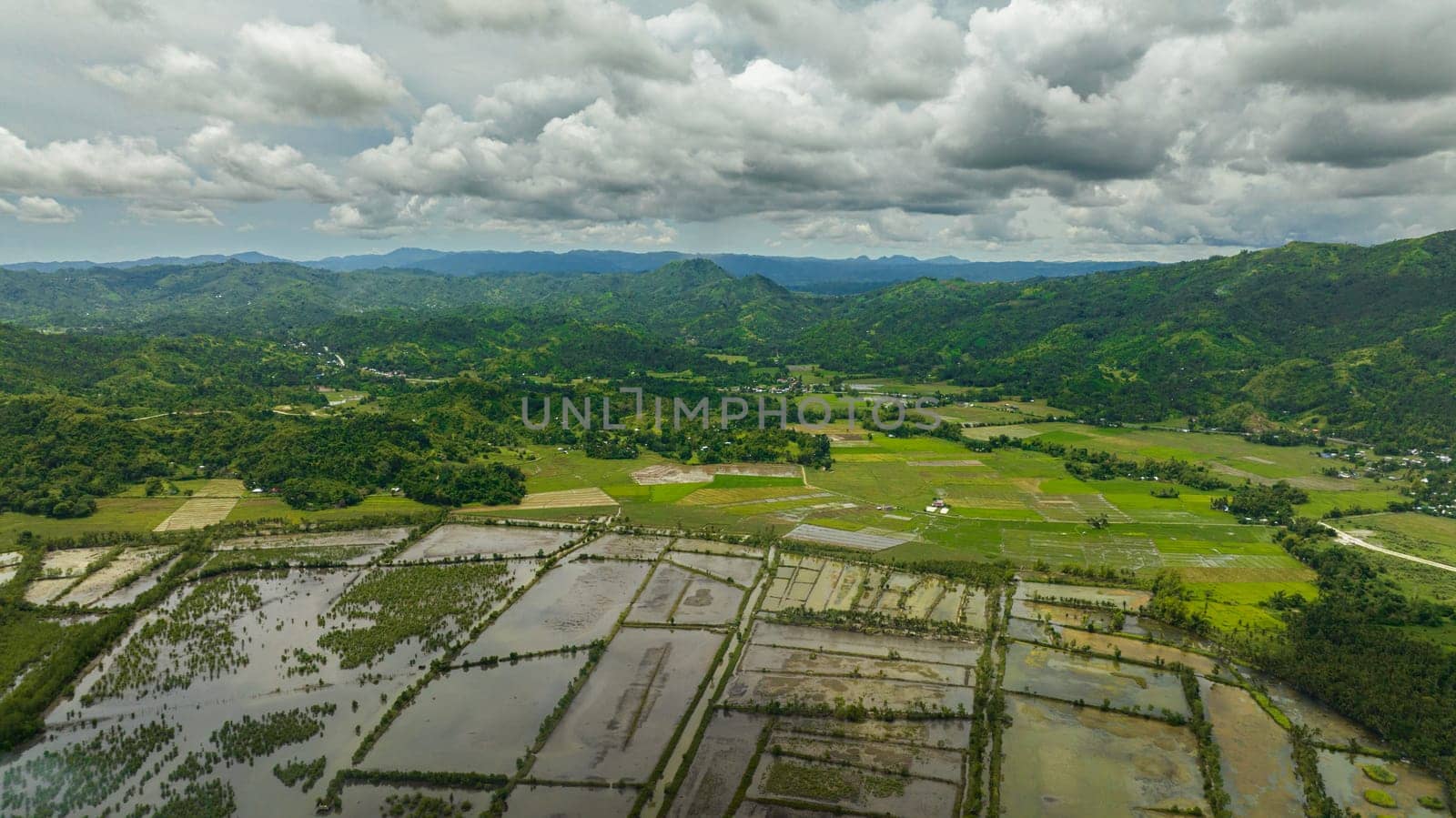 Farmland and rice fields among the mountains. Negros, Philippines