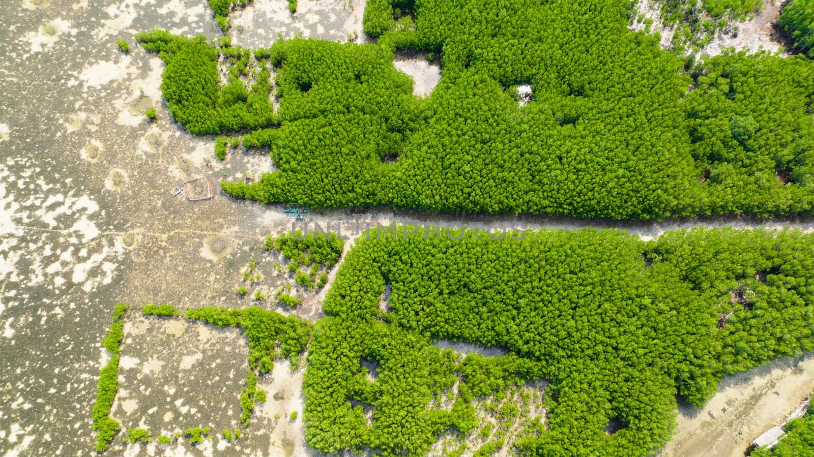 Aerial view of coastline with green mangroves and forest. Mangrove landscape. Bantayan island, Philippines.
