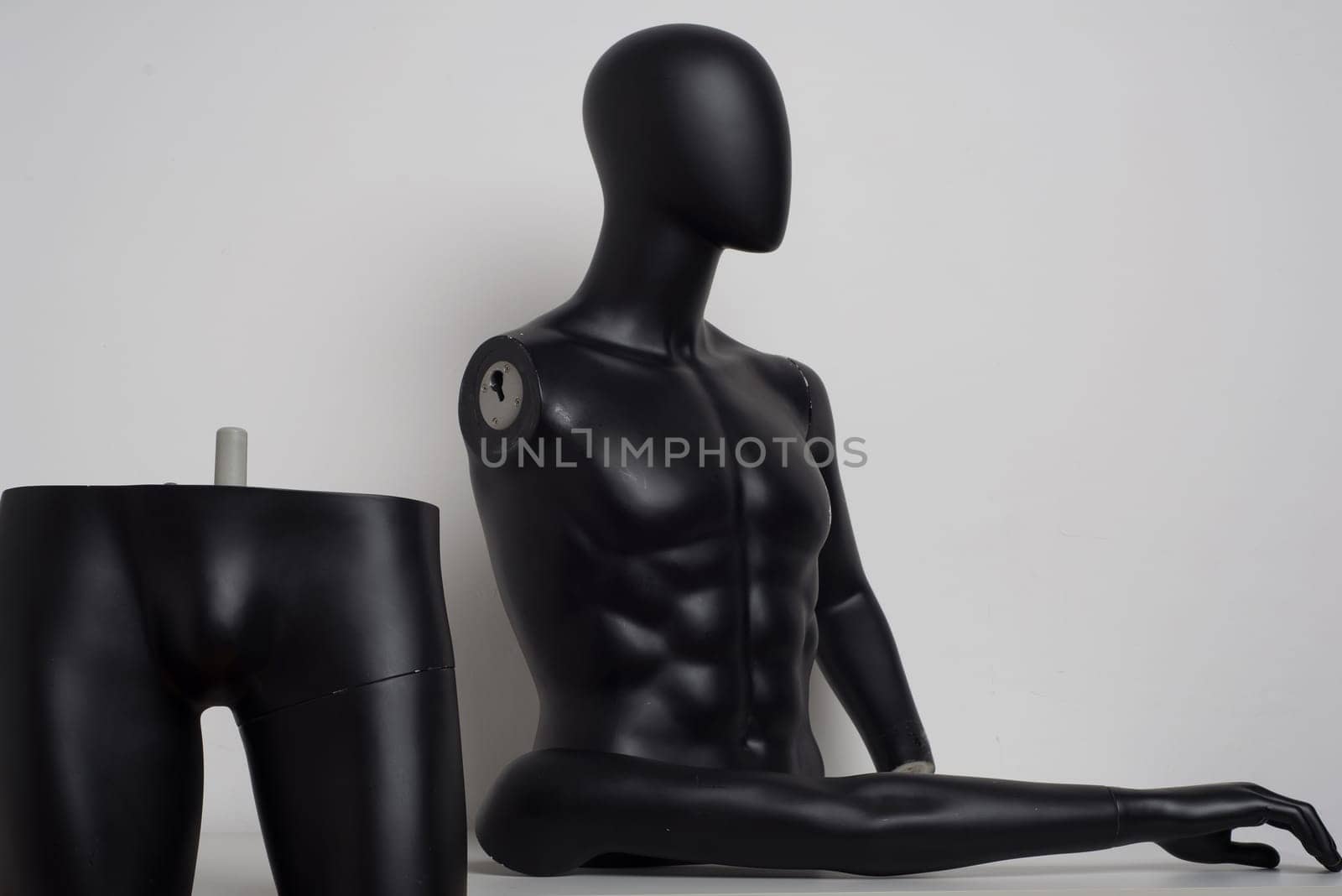 Gloss black color mannequin male disassembled into parts by zartarn