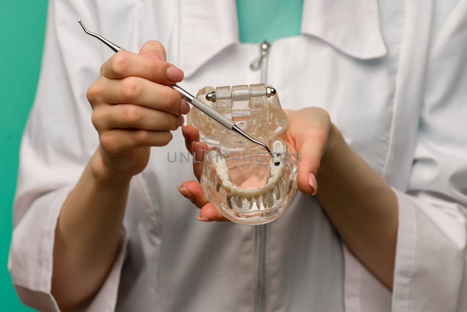 Woman dentist showing on a jaw model oral checkup - image