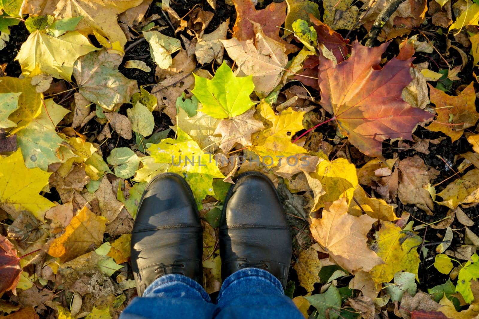 Fall, autumn, leaves, legs and shoes. Conceptual image of legs in boots on the autumn leaves. Feet shoes walking in nature