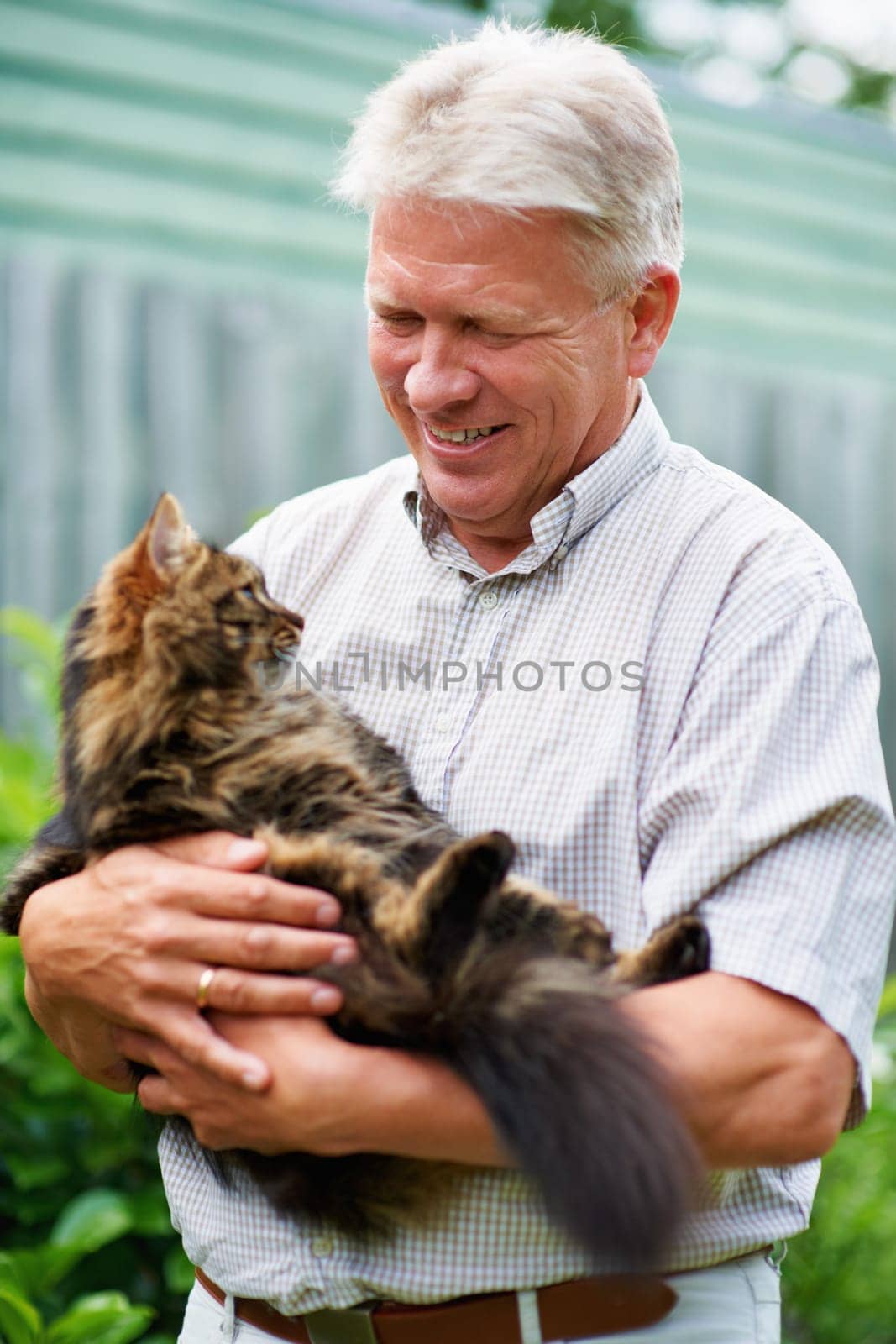 Elderly, man and love for cat is outdoors with care for pets, animals and furry childhood friend. Happy, male person and bonding with companion in backyard of house with kitten, embrace and garden by YuriArcurs