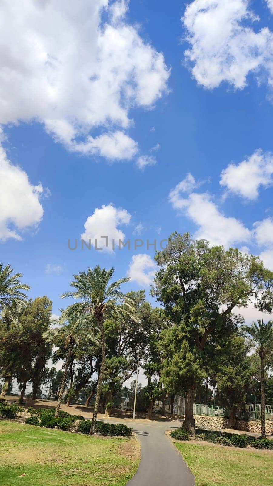 green park spring summer, trees, grass, leaves and sky, landscape. High quality photo