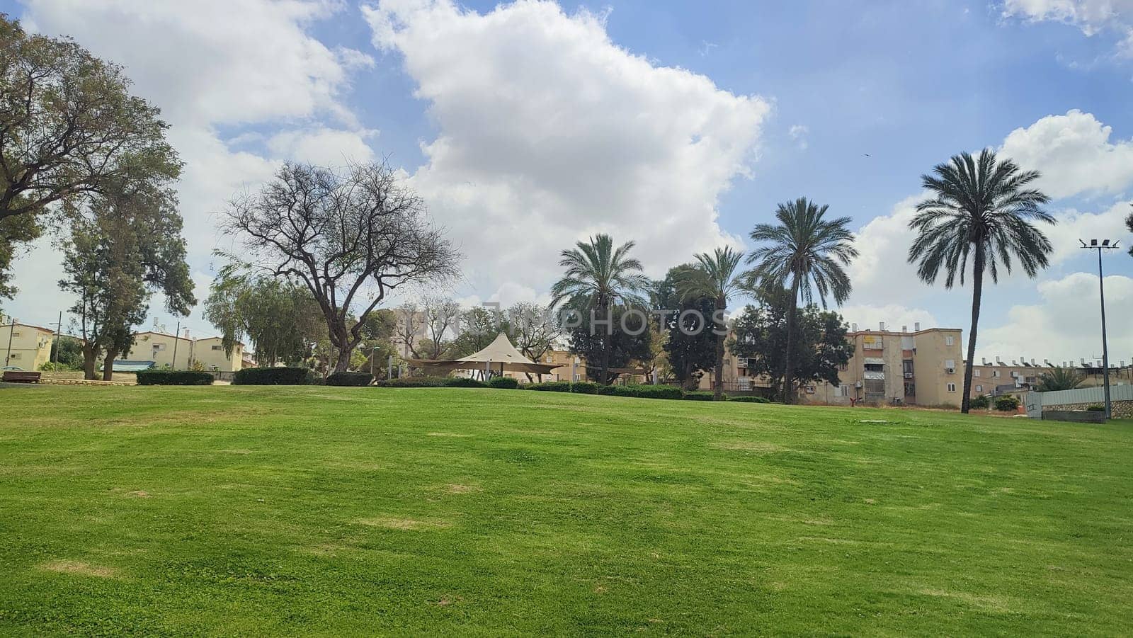 green park spring summer, trees, grass, leaves and sky, landscape. High quality photo