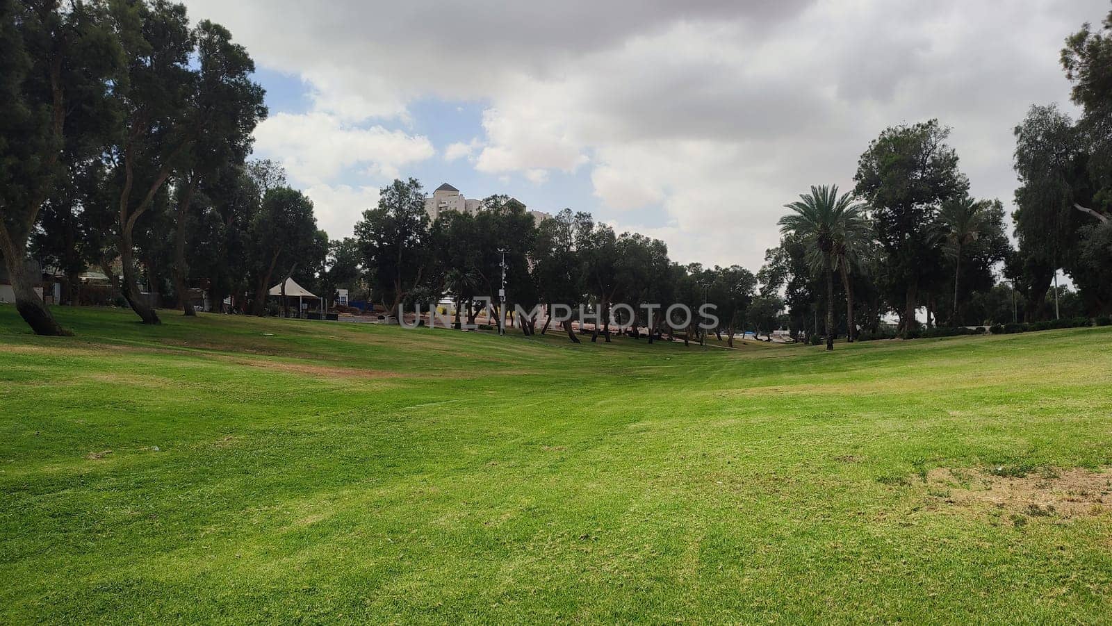 green park spring summer, trees, grass, leaves and sky, landscape. High quality photo