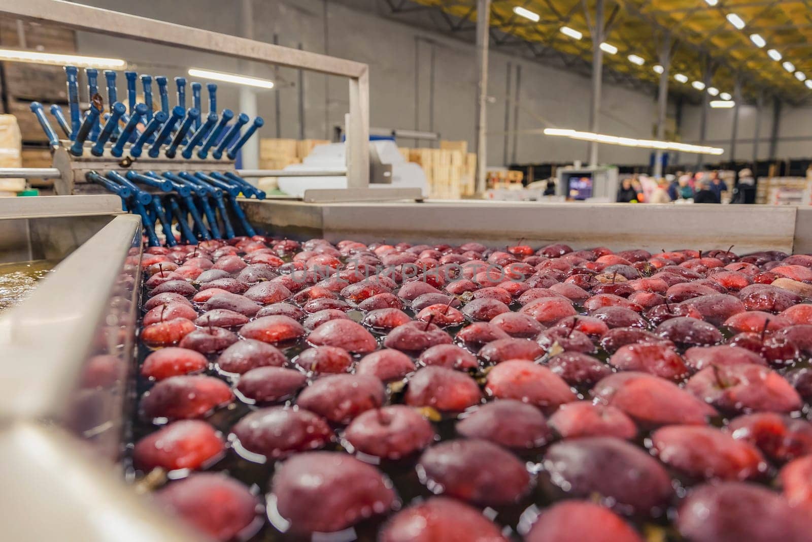 close-up washing red apples in production