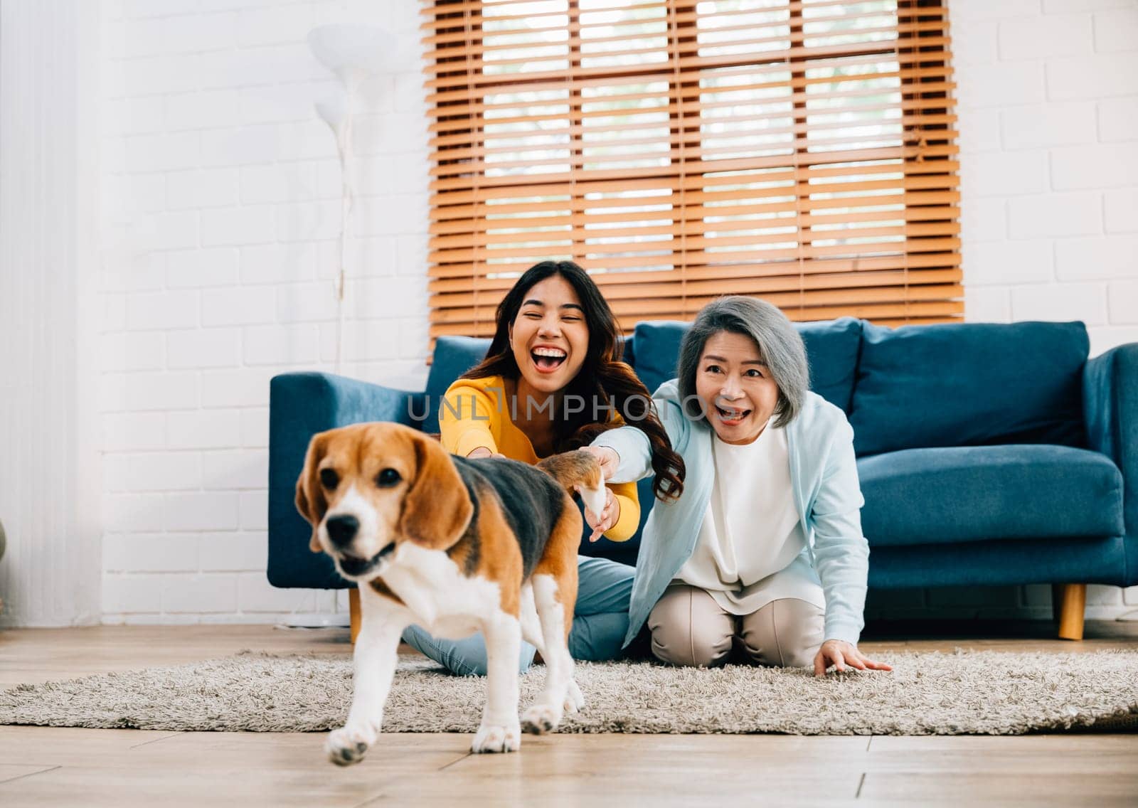 Weekend playtime, A cheerful woman and her mother run alongside their Beagle dog in the living room, highlighting their friendly bond and love for an active lifestyle. pet love